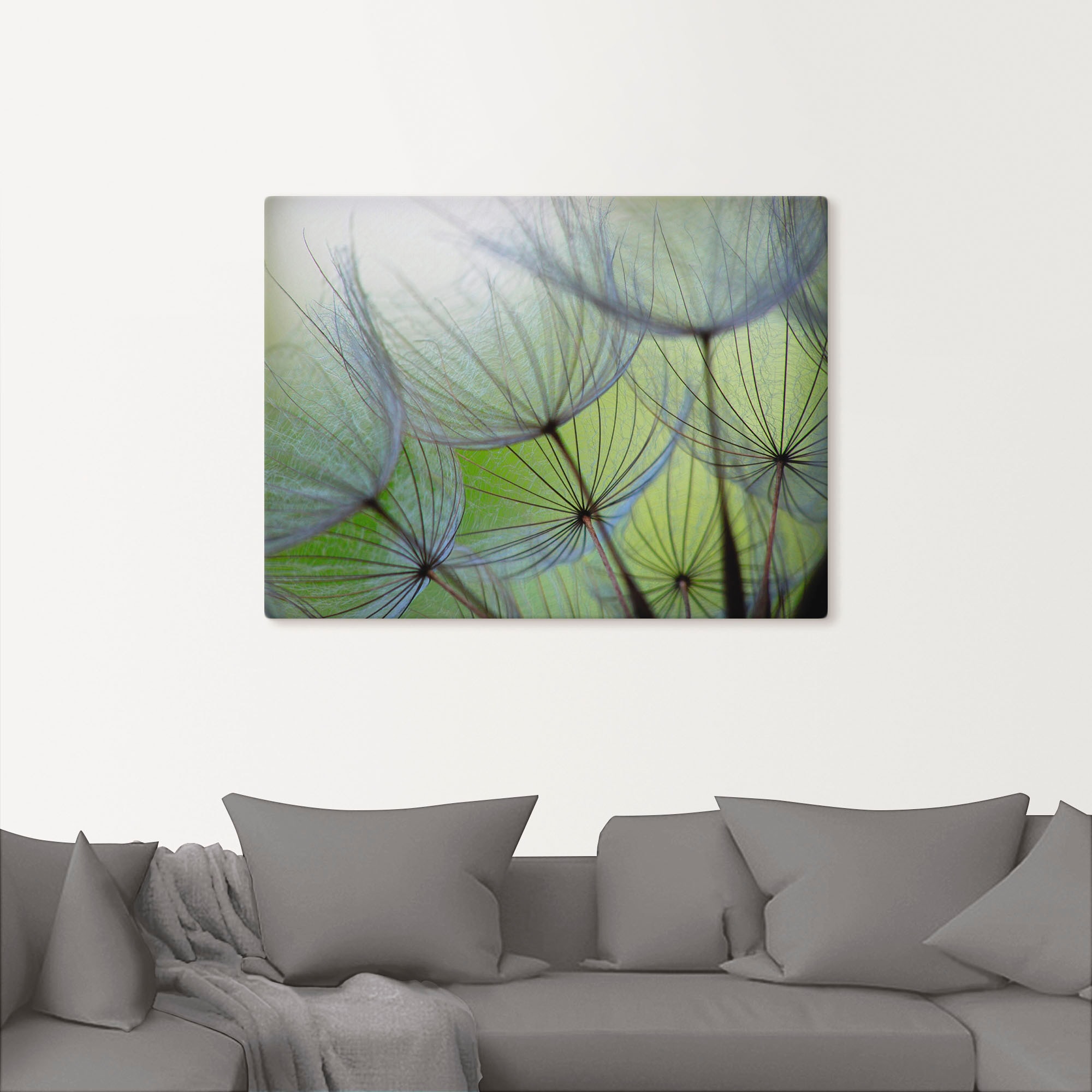 Artland Wandbild »Pusteblumen-Samen II«, Blumen, (1 St.), als Leinwandbild, Poster in verschied. Größen