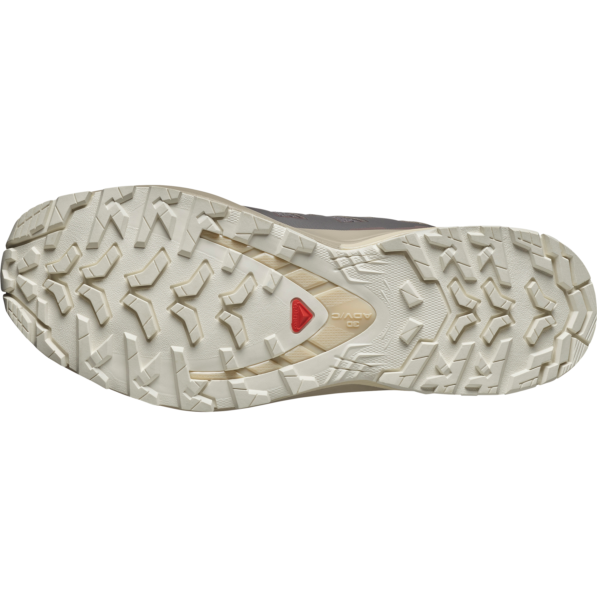 Salomon Trailrunningschuh »XA PRO 3D V9 W«, wasserdicht