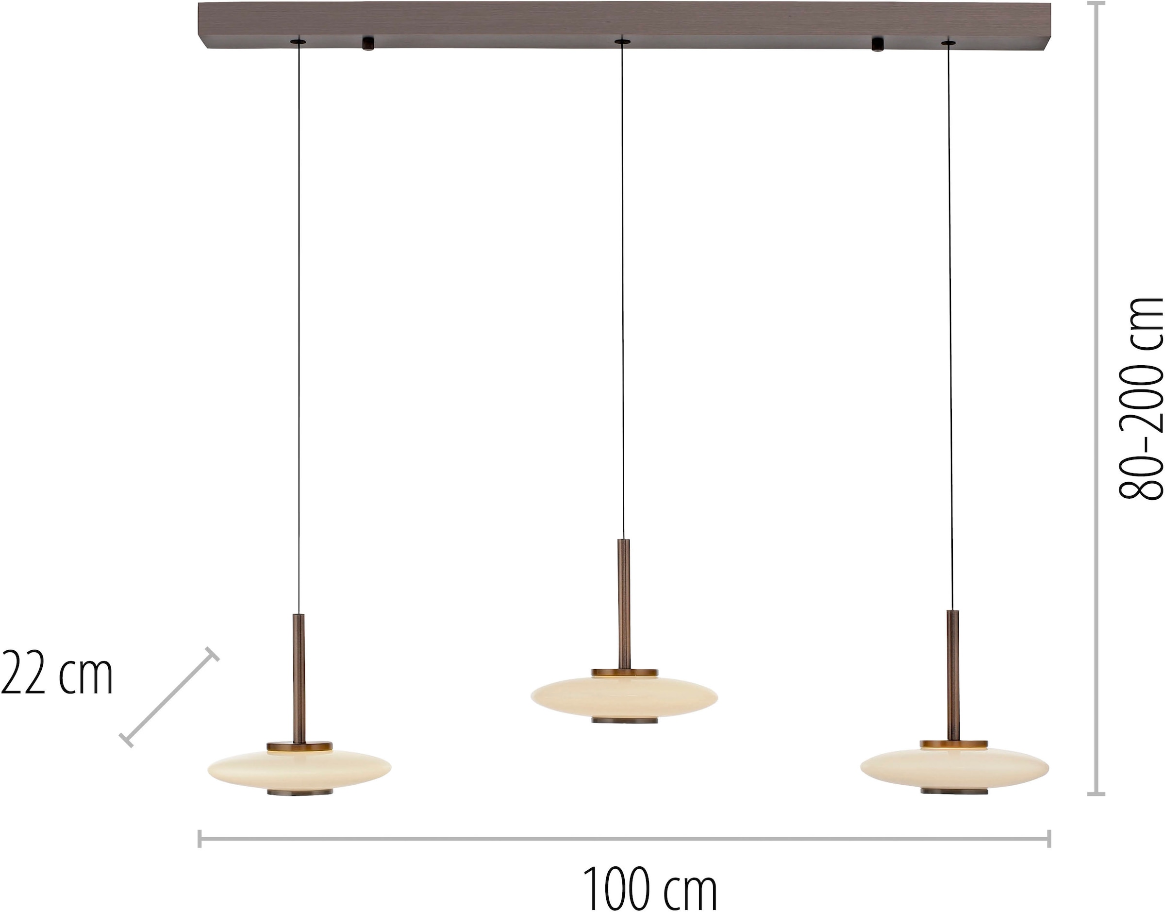 Neuhaus PURE LED Pendelleuchte »PURE Vitrum« LED-Board 1 Stk. Warmweiß Comfort Lift, dimmfähig über separaten Tronicdimmer