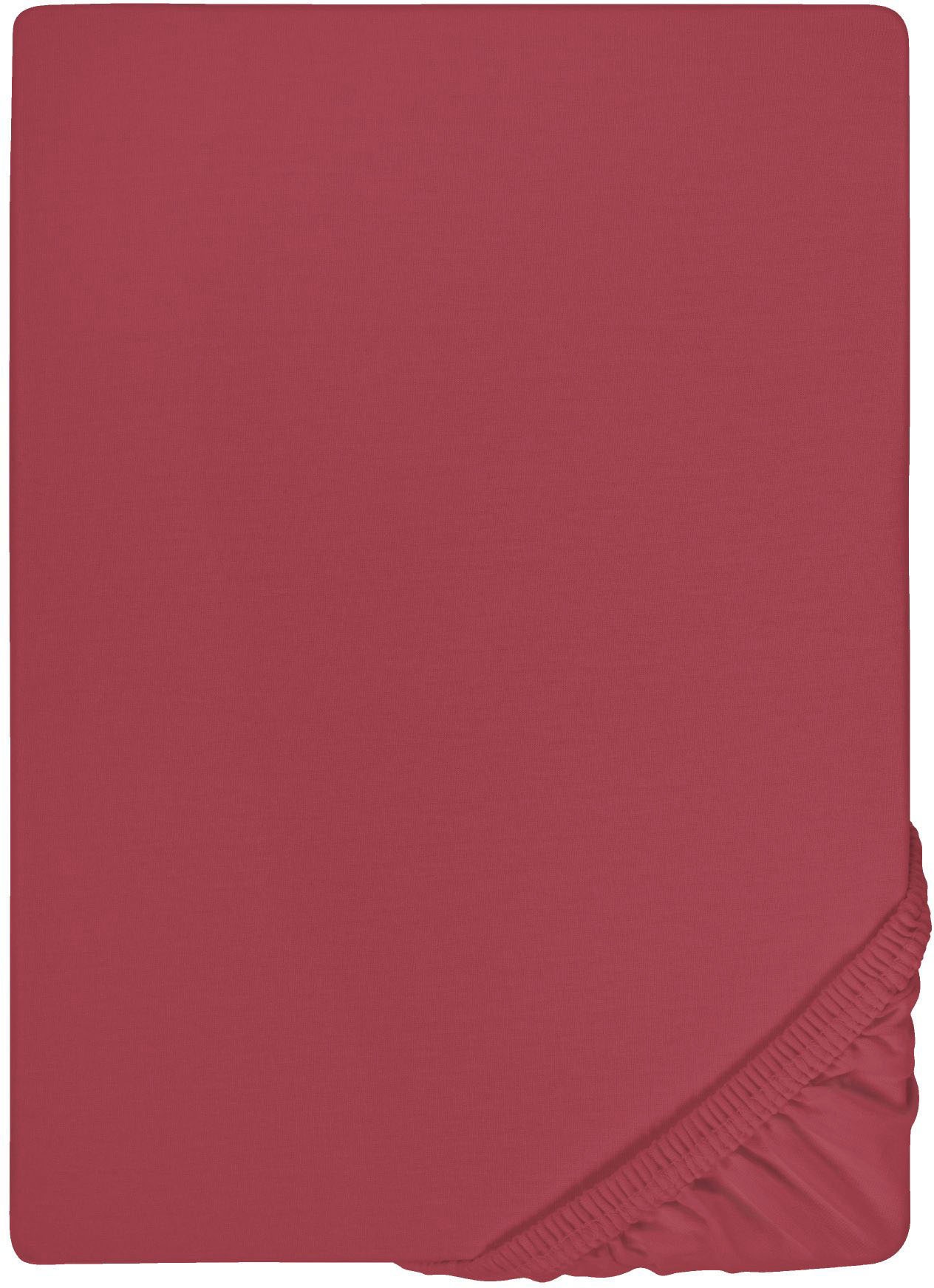 Biberna Spannbettlaken »Marc in Gr. 90x200, 140x200 oder 180x200 cm«, (1 St.), aus Baumwolle, für Matratzen bis 22 cm Höhe, Bettlaken, Spannbetttuch
