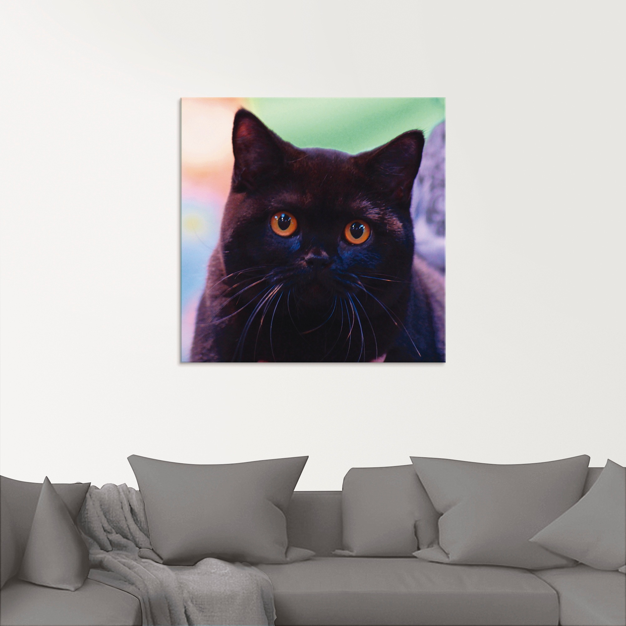 Artland Glasbild »Schwarze Britisch Kurzhaarkatze«, Haustiere, (1 St.), in verschiedenen Größen