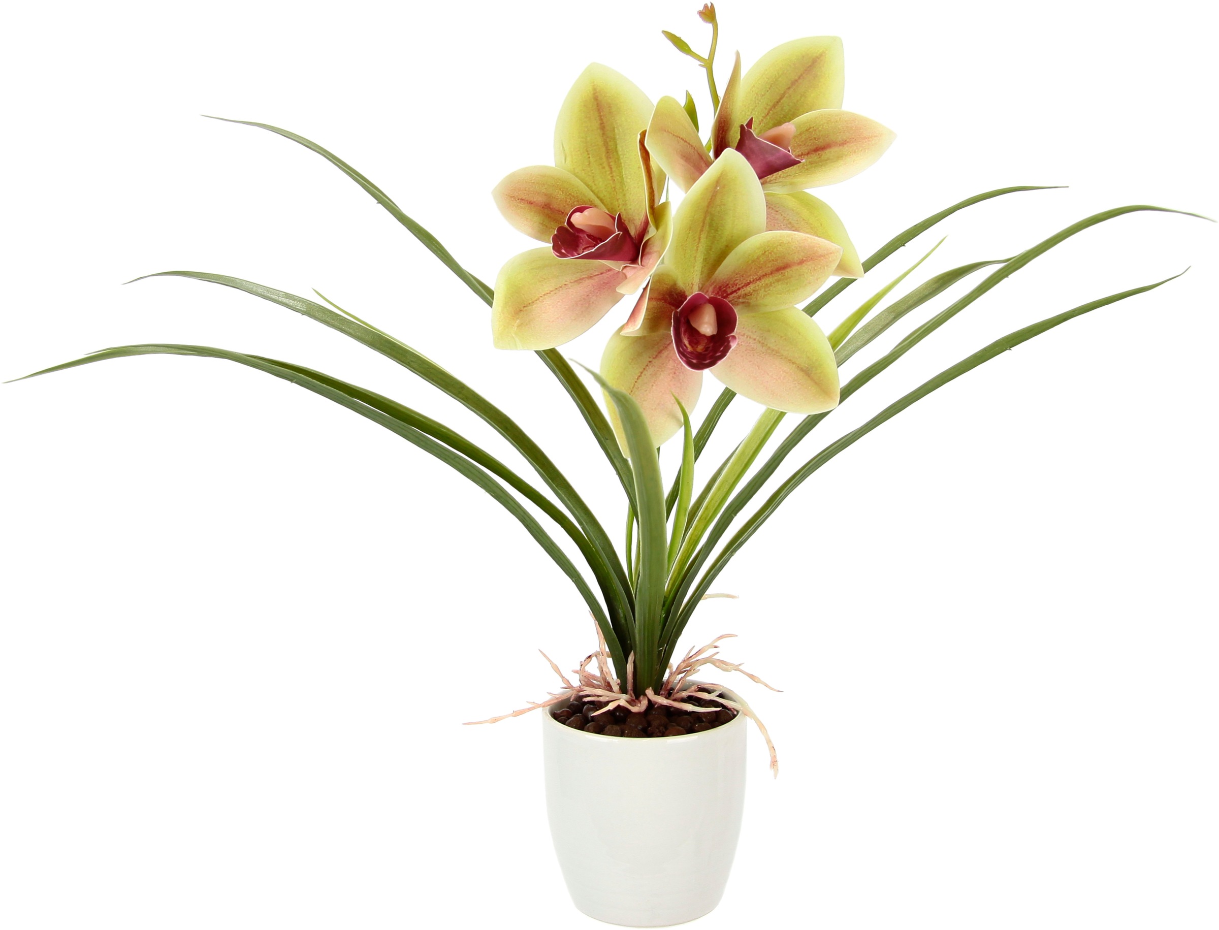 OTTO home Kunstblume "Orchidee" Mit Blätter im Topf aus Keramik Künstliche Blume Cymbidium-Orchidee