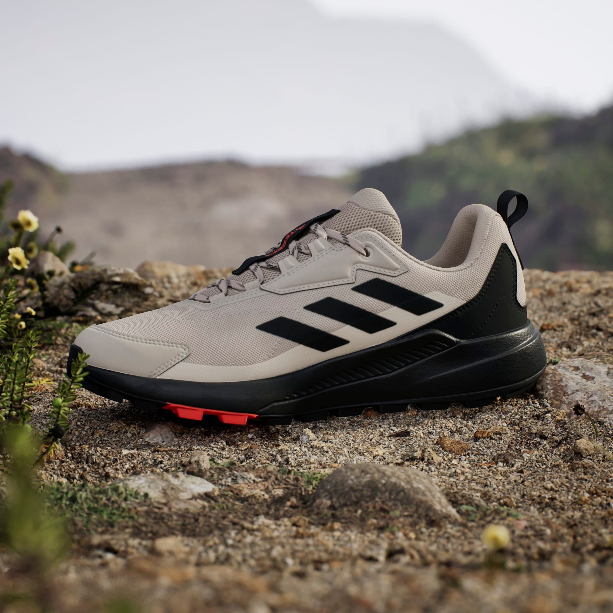 adidas TERREX Wanderschuh »TERREX ANYLANDER«