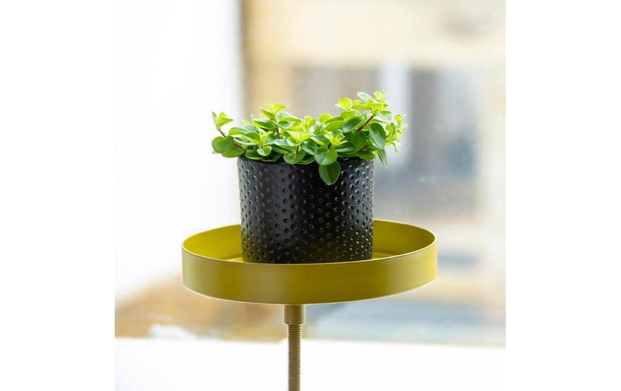 esschert design Blumenständer »Gold«