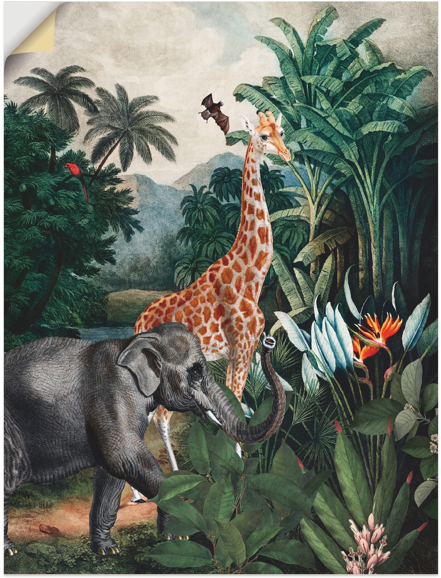 Artland Wandbild (1 BAUR Poster Dschungel«, Wildtiere, Alubild, oder in | Wandaufkleber versch. als Größen St.), Leinwandbild, kaufen »Afrikanischer