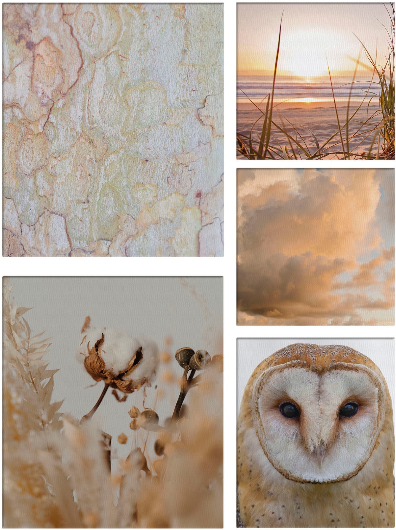 Art for the home Leinwandbild "Set Natur", (Set, 5 St.) günstig online kaufen