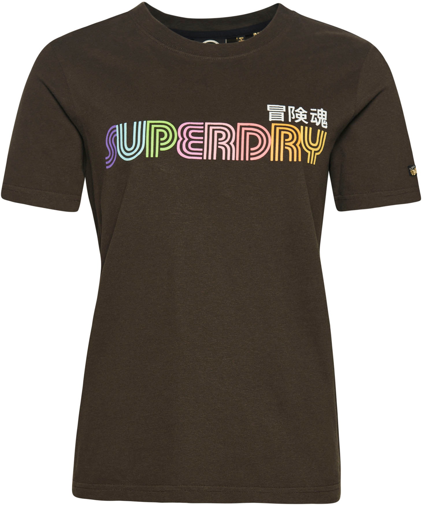 Superdry Rundhalsshirt »VINTAGE RETRO RAINBOW | kaufen TEE« online BAUR