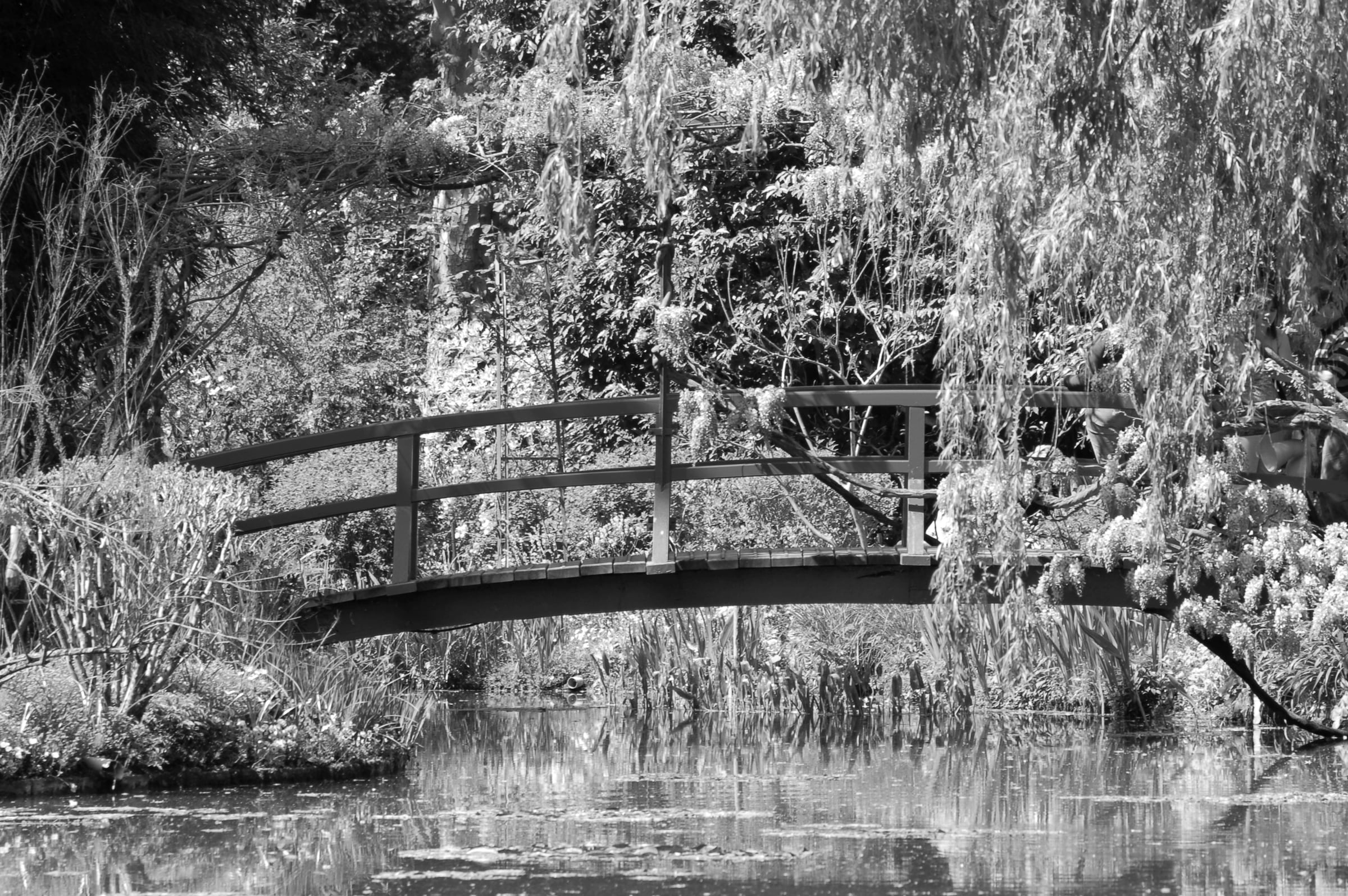 Papermoon Fototapete "Garten Schwarz & Weiß"