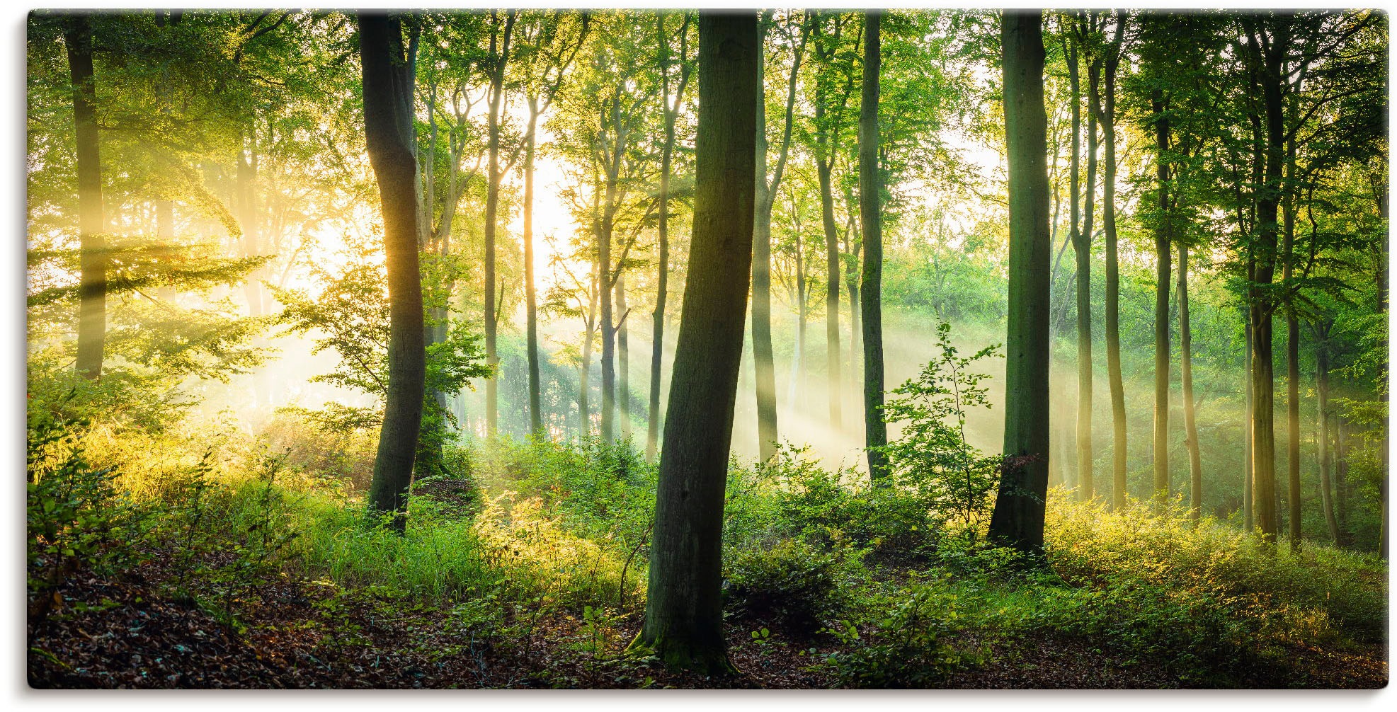 Artland Wandbild »Herbst bestellen Waldbilder, (1 BAUR oder Wald Wandaufkleber Leinwandbild, | II«, Größen Alubild, St.), im in als versch. Poster