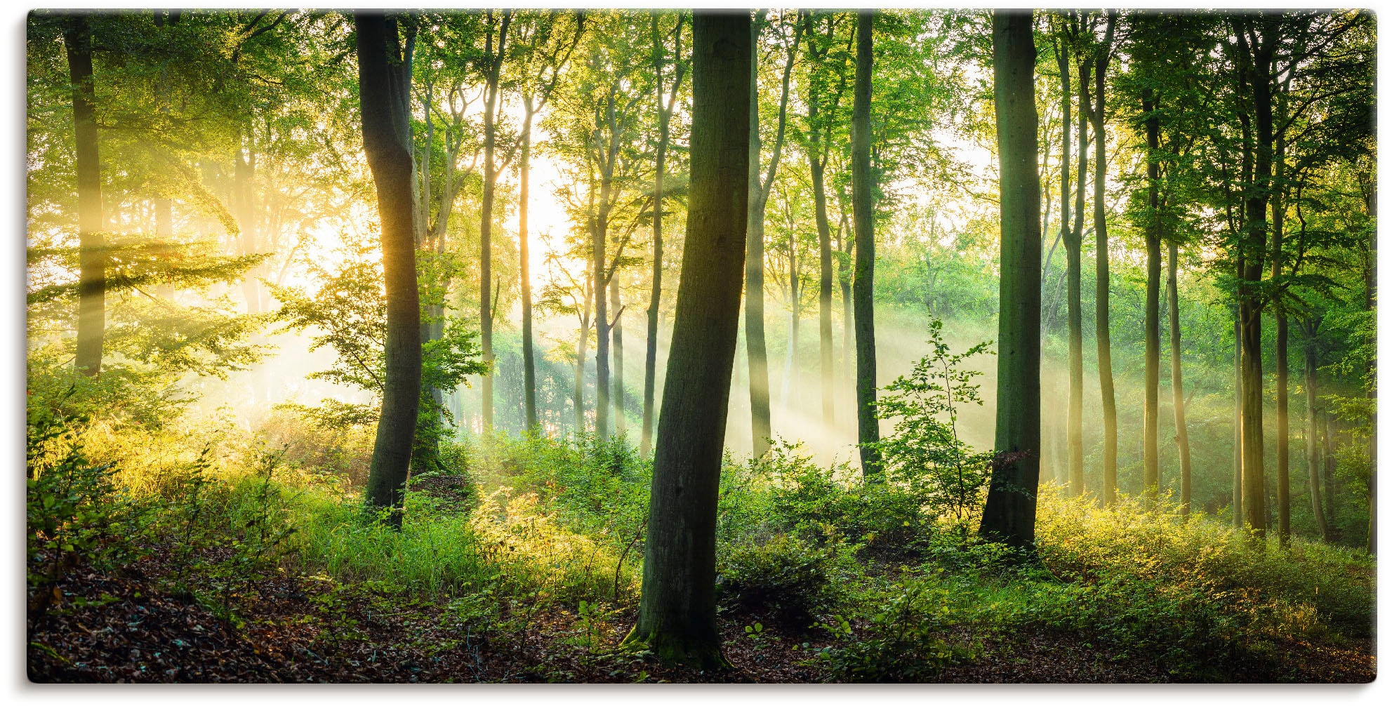 Artland Wandbild "Herbst im Wald II" Waldbilder 1 Stk. tlg. als Alubild, Leinwandbild, Poster in verschied. Größen