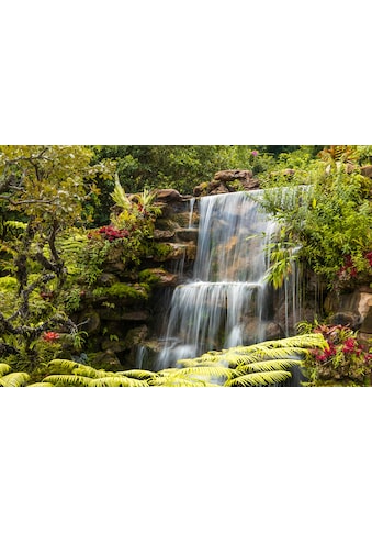 Fototapete »WASSERFALL-FLUSS SEE WALD STEINE BLUMEN BERGE BACH XXL«