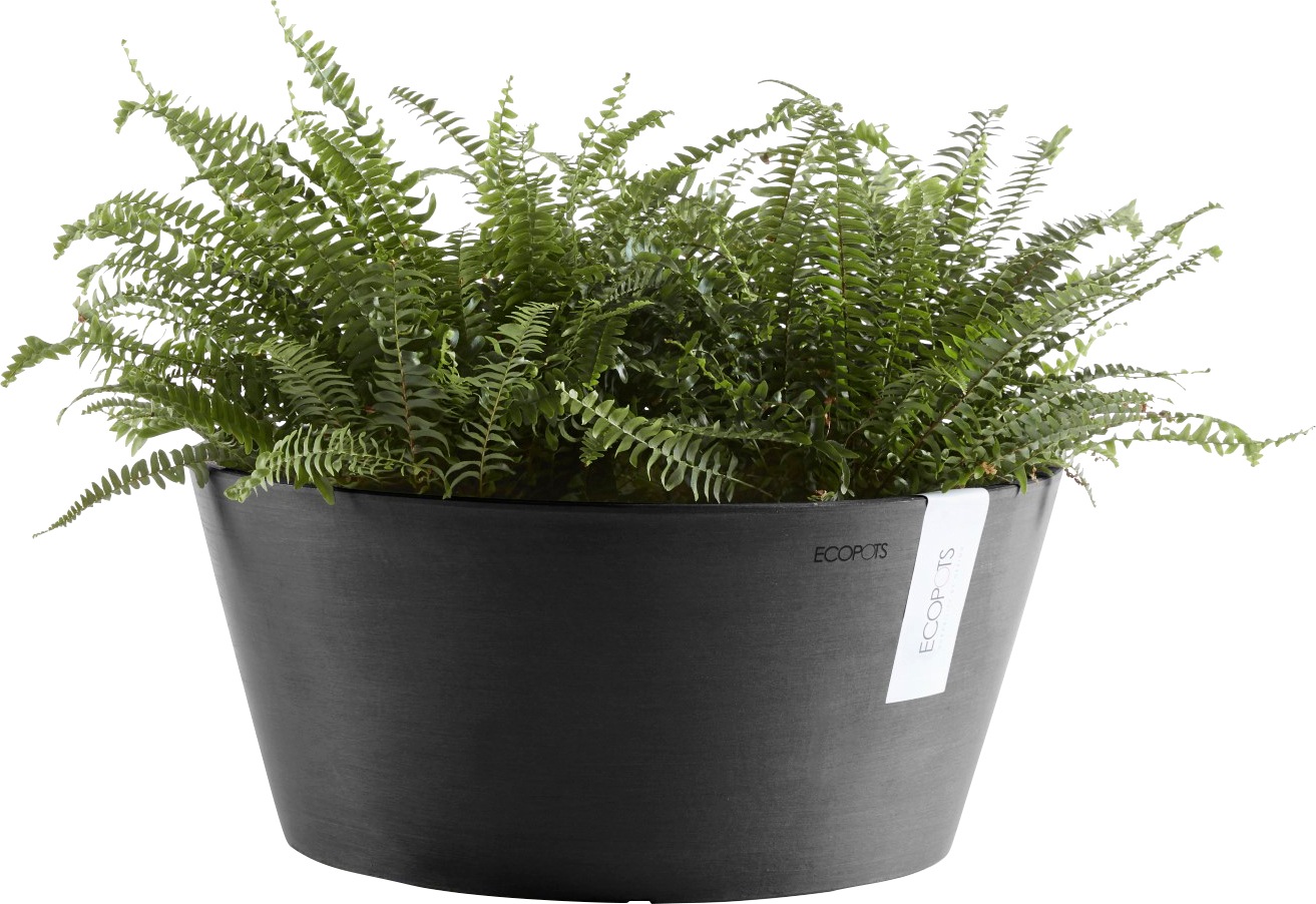 Ecopots Pflanzschale Frankfurt Dunkelgrau 40 cm günstig online kaufen