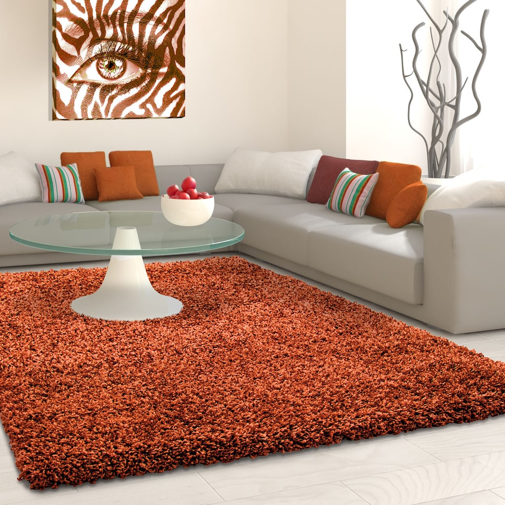 Ayyildiz Teppiche Hochflor-Teppich »Life Shaggy 1500«, rechteckig