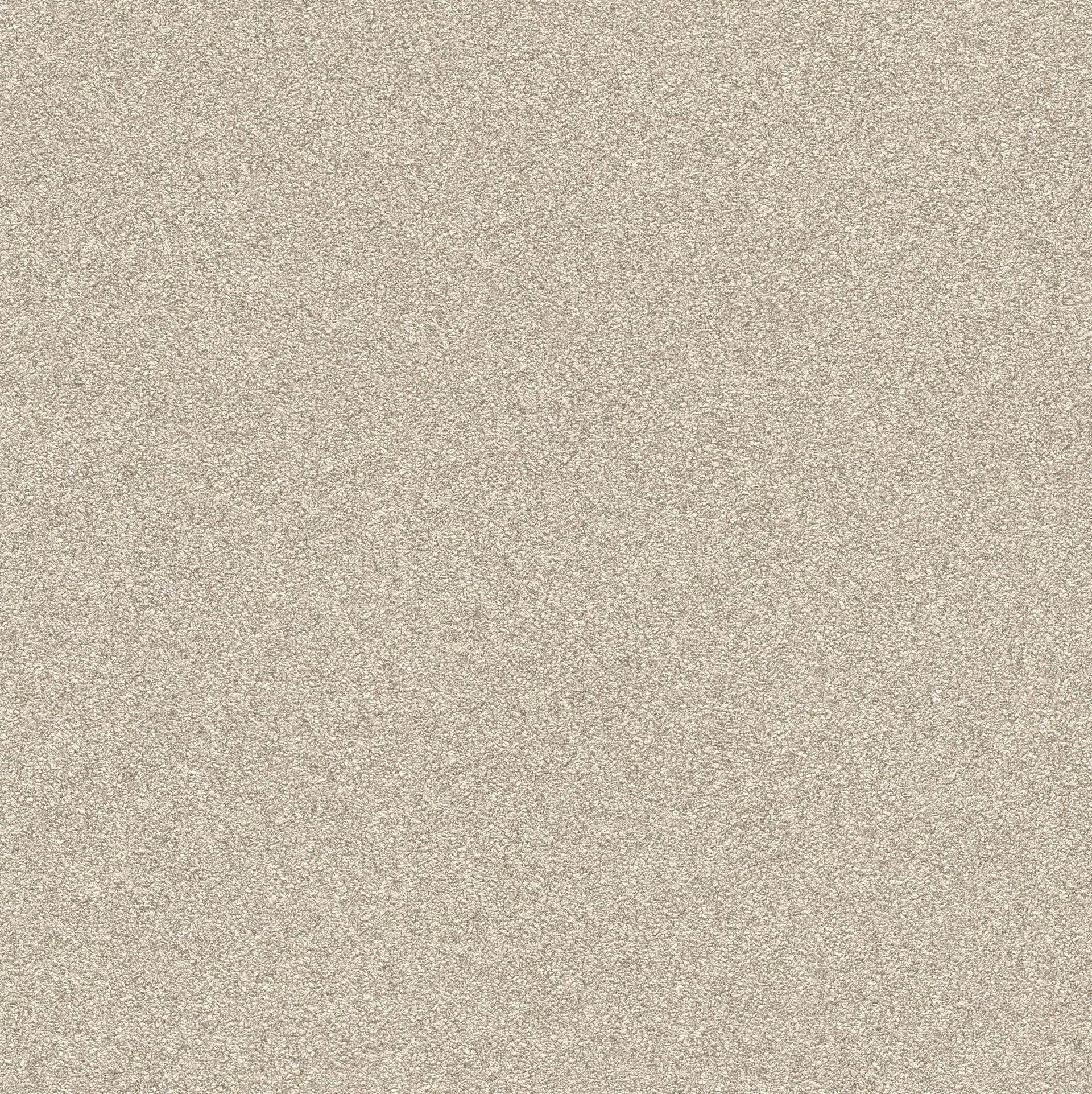 Rasch Vinyltapete »Passepartout«, uni-Steinoptik kaufen