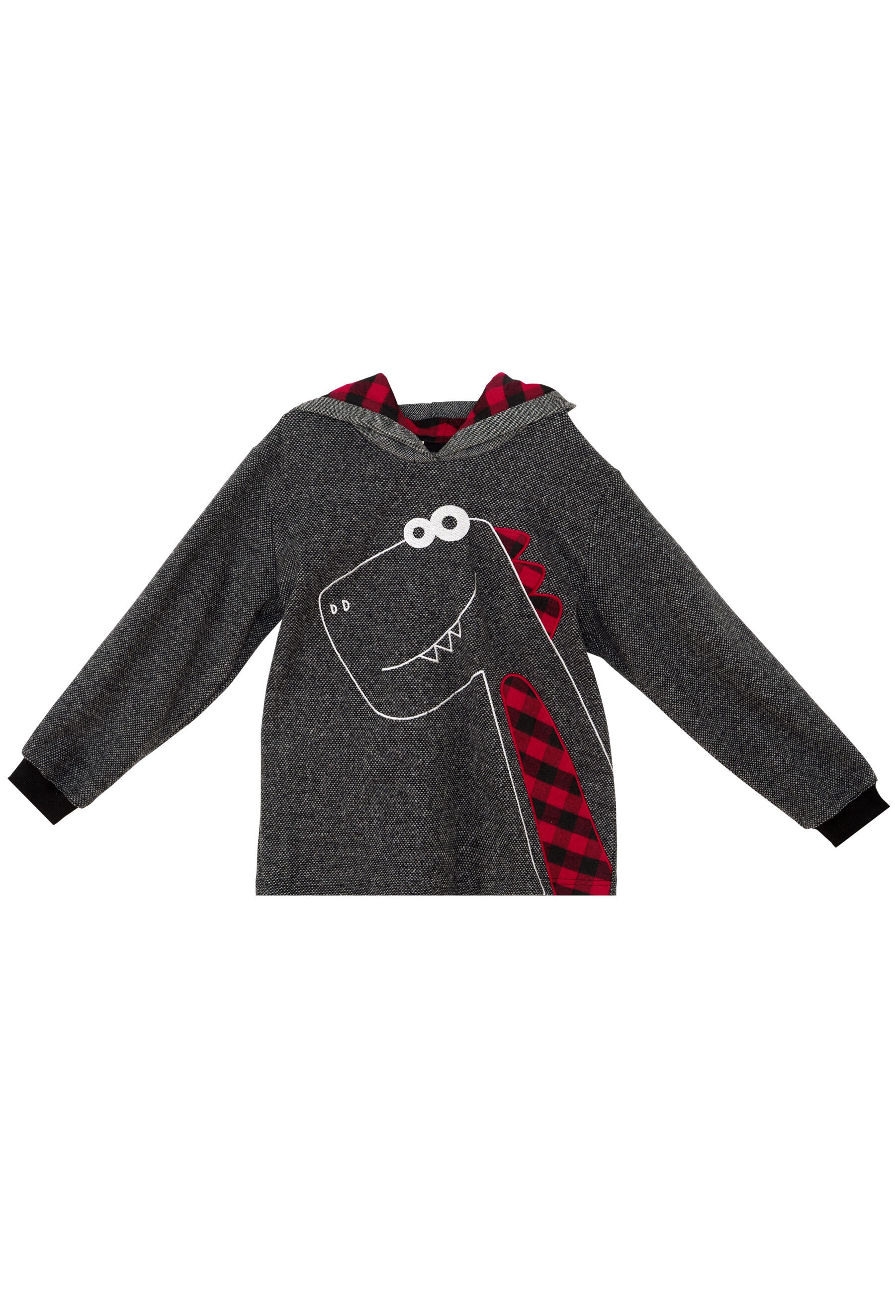 Denokids Kapuzenpullover »Check Dino«, mit Dinosaurier-Stickerei