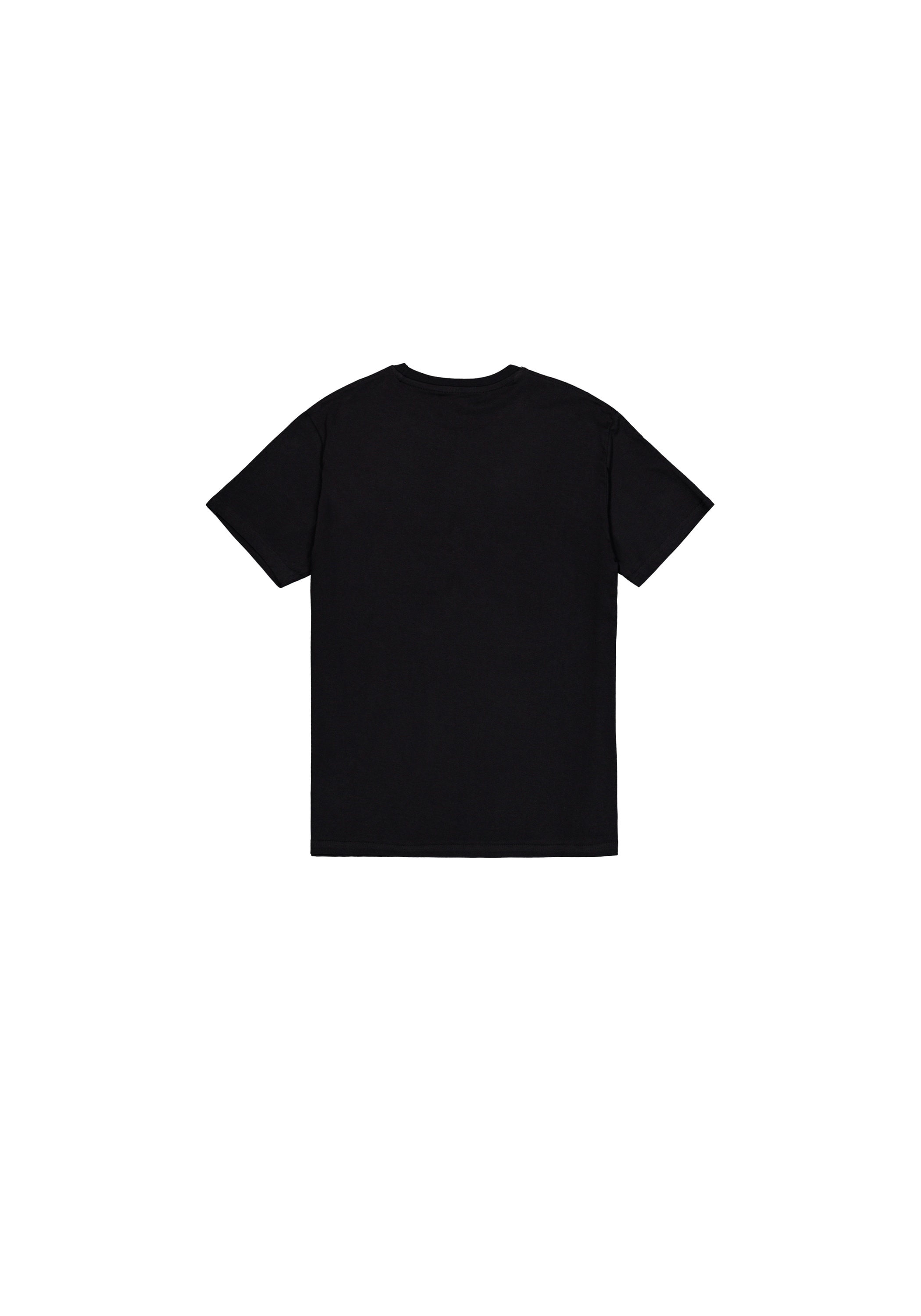 Alpha Industries T-Shirt »Alpha Industries Men - T-Shirts Basic T-Shirt SL«