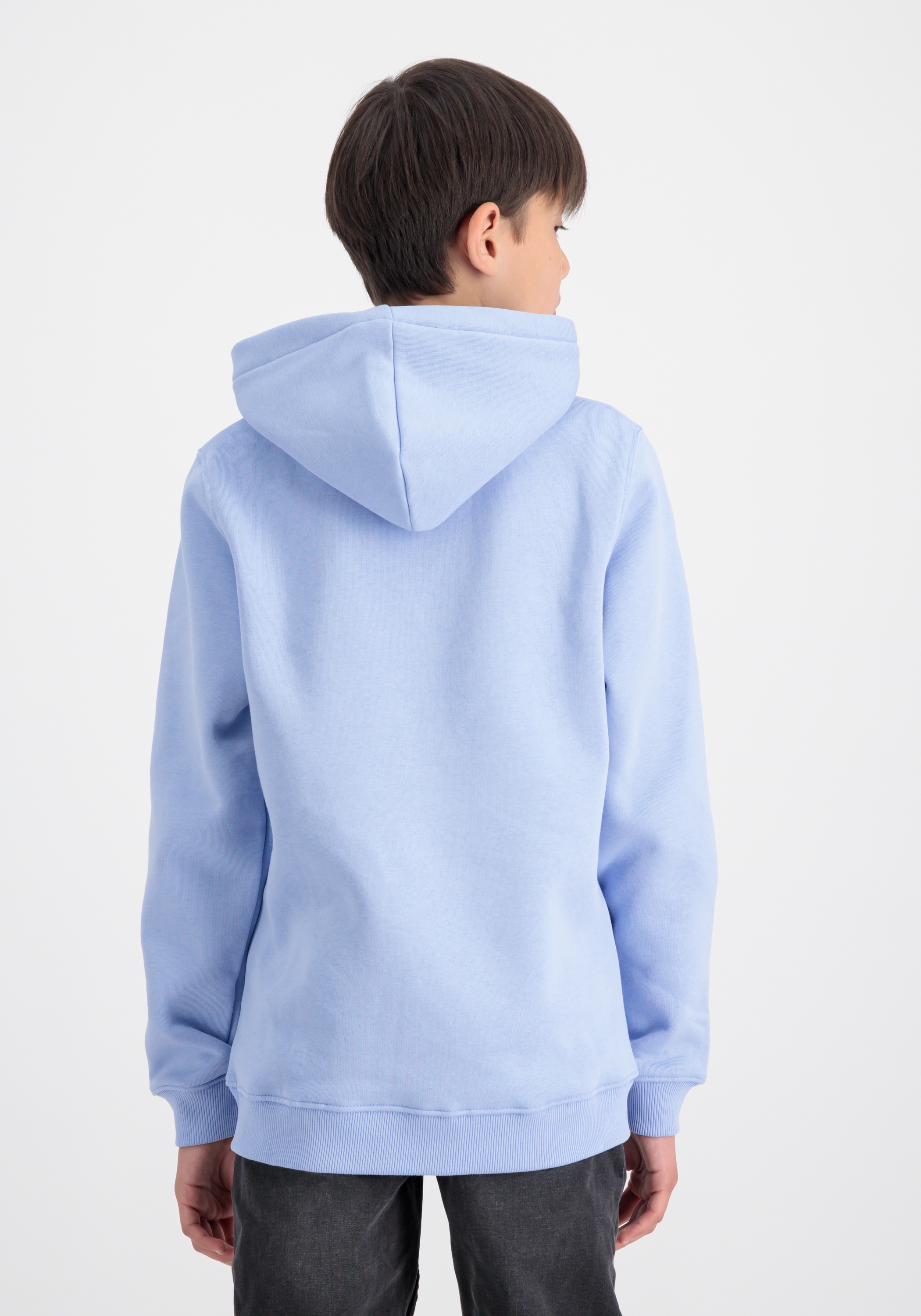 Alpha Industries Hoodie »Basic Hoodie BL K«
