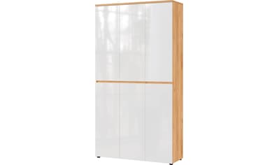 Mehrzweckschrank