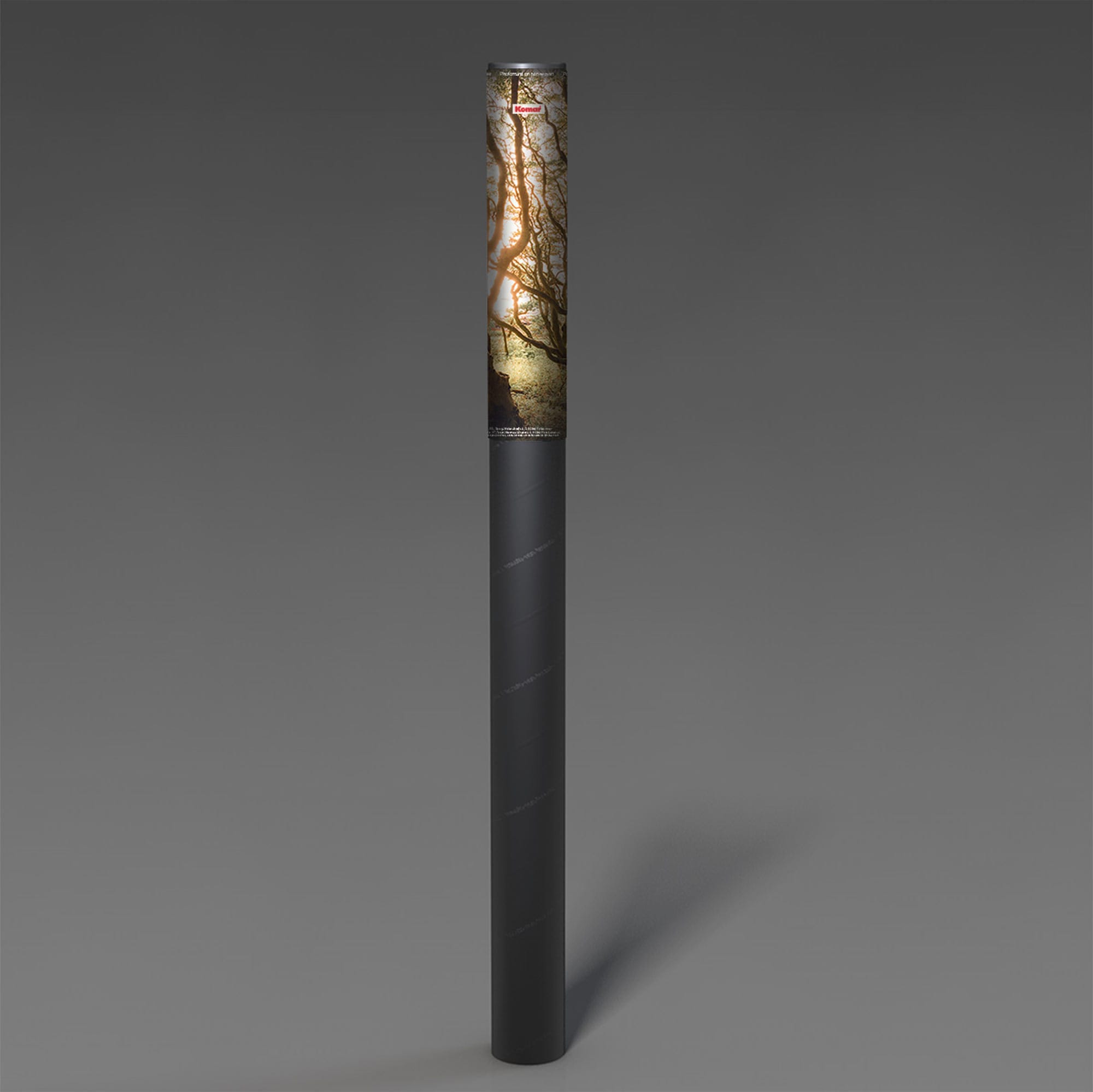 Komar Fototapete »Vlies Fototapete - Bold Birch - Größe 400 x 250 cm« Motiv | bedruckt glatt