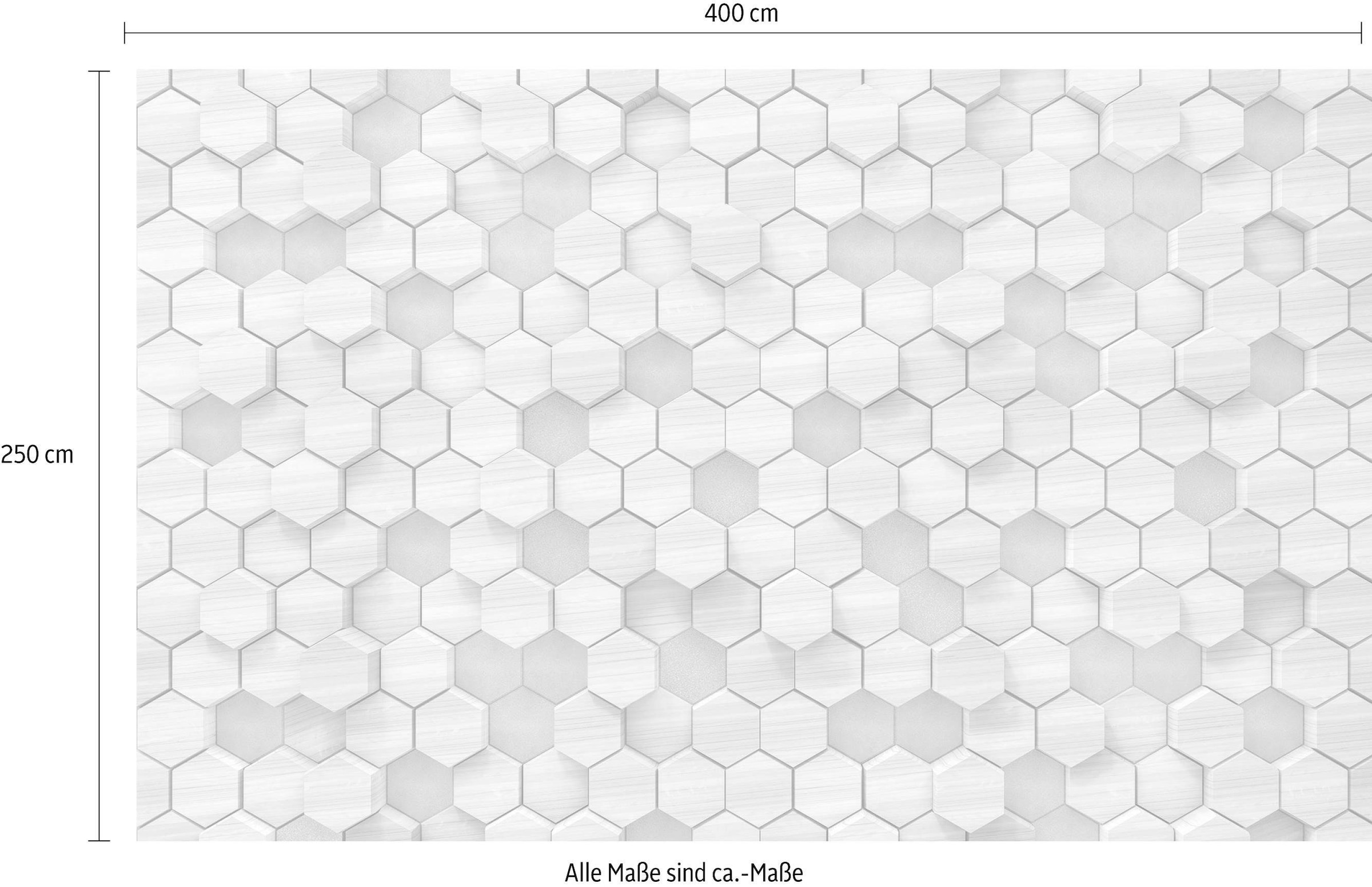 Komar Vliestapete »Digitaldruck Vlies -  Woodcomb Birch - Größe 400 x 250 cm« bedruckt glatt Wohnzimmer, Schlafzimmer