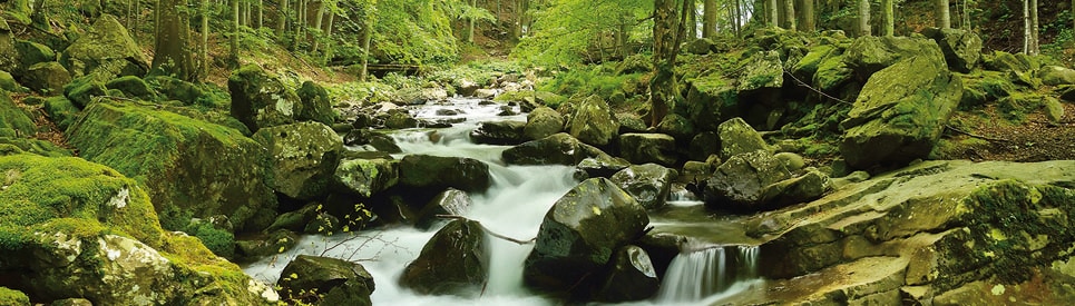 Papermoon Fototapete "Soft Water Stream Panorama" matt