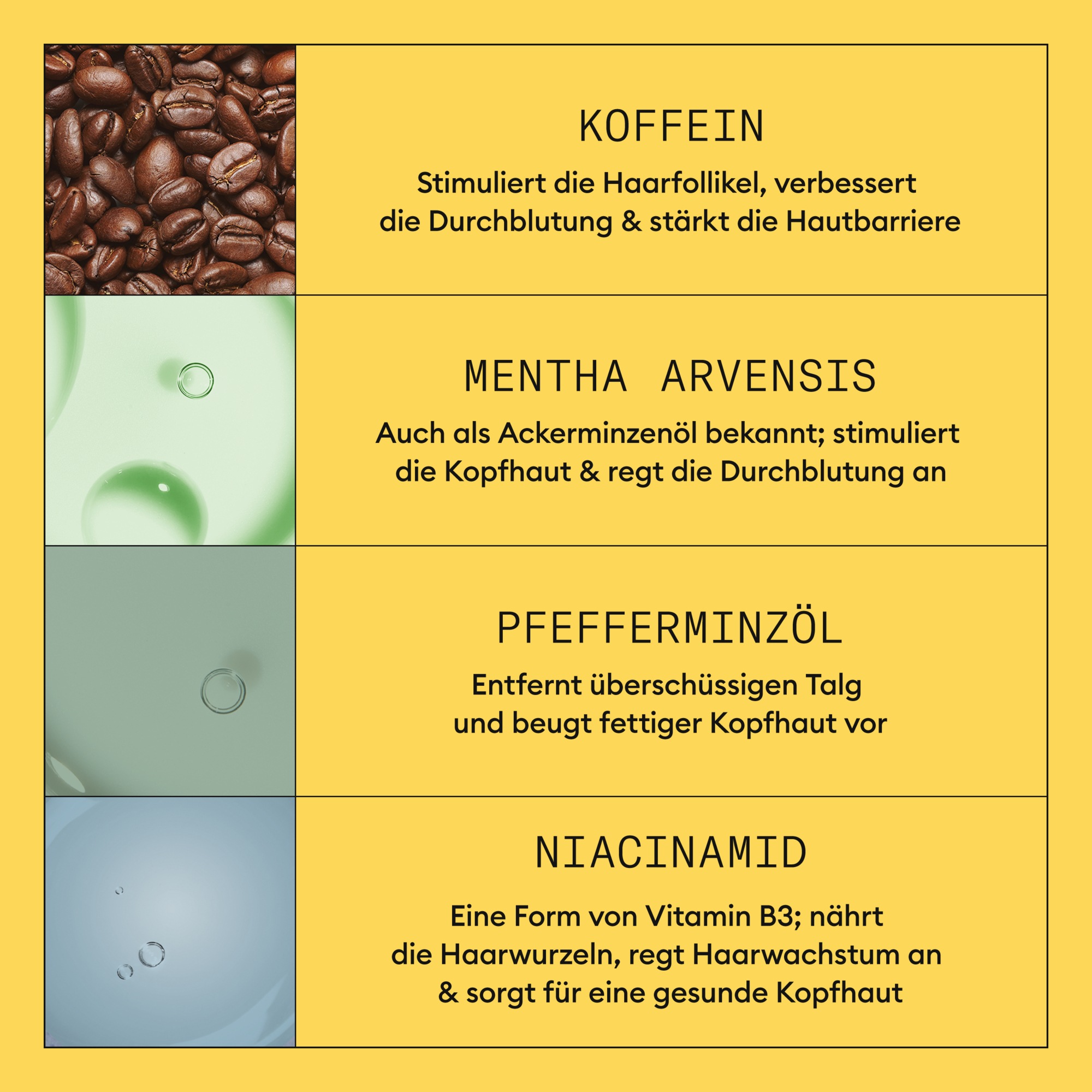 Nioxin Haarpflege-Set »NIOXIN SCALP + HAIR THICKENING SYSTEM 1« Schützt & Stärkt bei dünner werdendem Haar