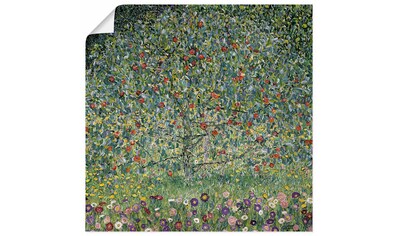 Artland Wandbild »Apfelbaum I. 1912«, Bäume, (1 St.), in vielen Größen & Produktarten... kaufen