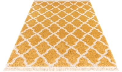 MINT RUGS Hochflor-Teppich »Pearl«, rechteckig, 35 mm Höhe, Pastellfarben mit Fransen,... kaufen