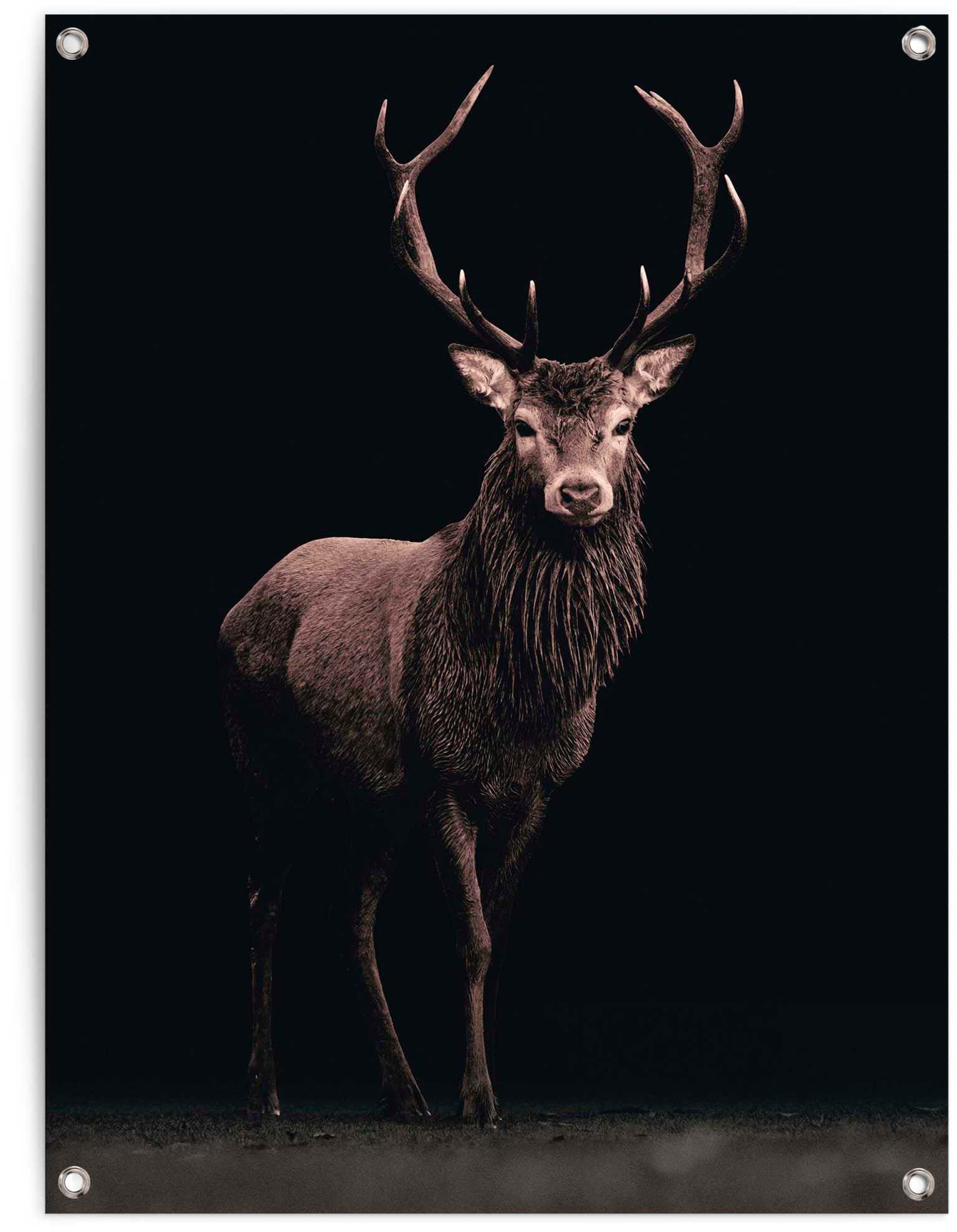 Poster Sepia« Reinders! BAUR »Hirsch | bestellen