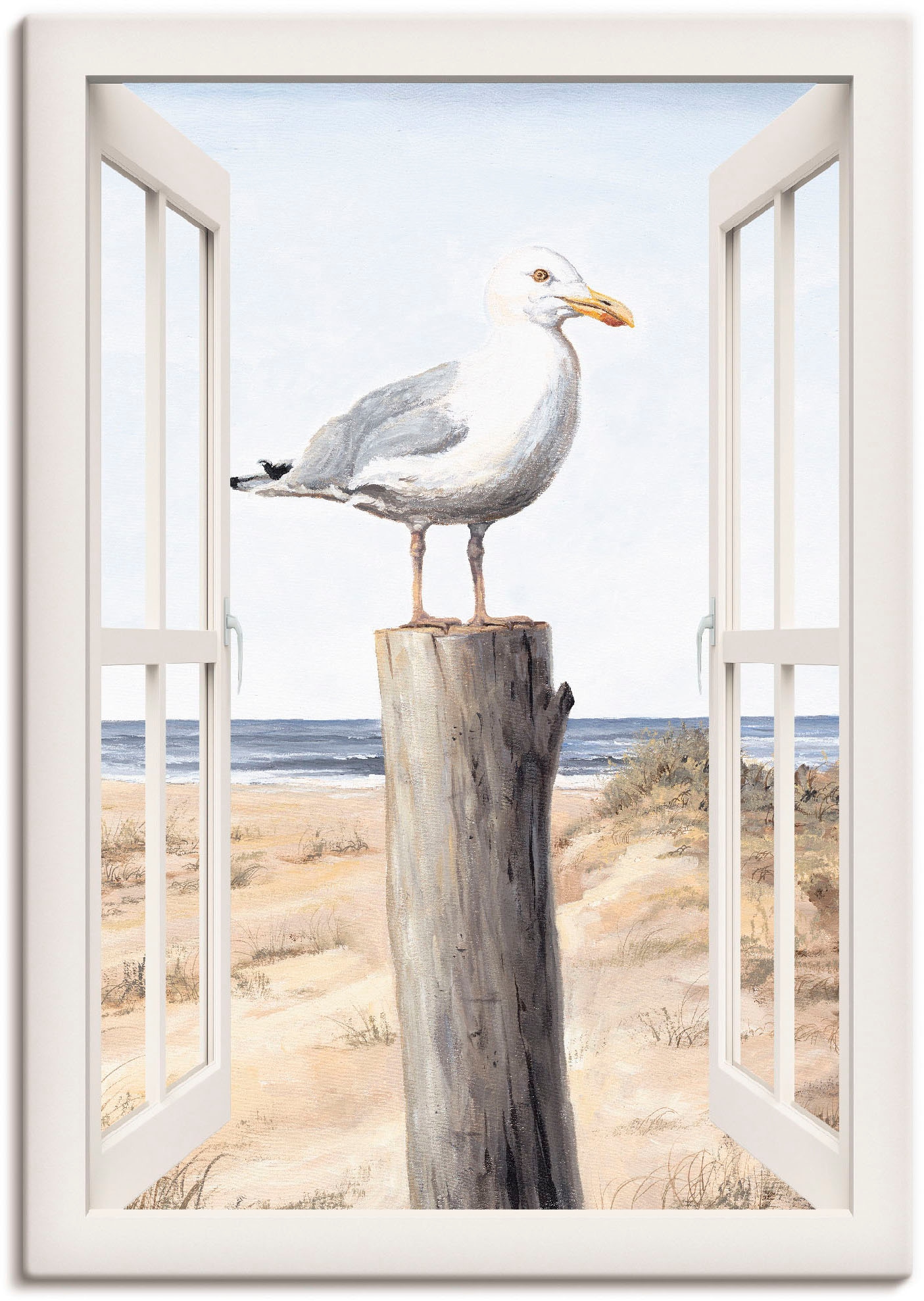 Artland Wandbild "Möwe Fensterblick", Vogelbilder, (1 St.), als Alubild, Le günstig online kaufen