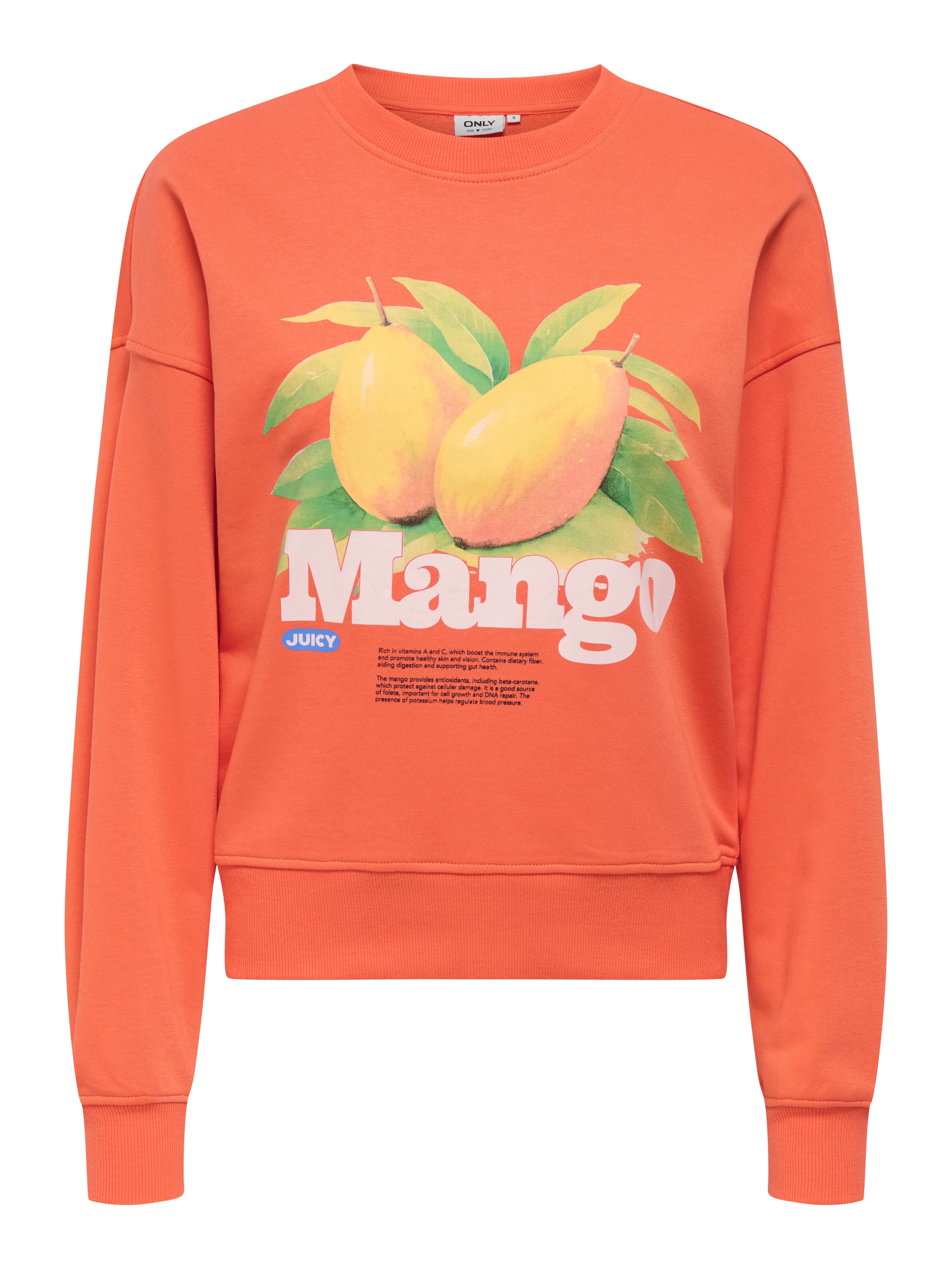 ONLY Sweatshirt »ONLPHILEA L/S FRUIT O-NECK UB SWT«