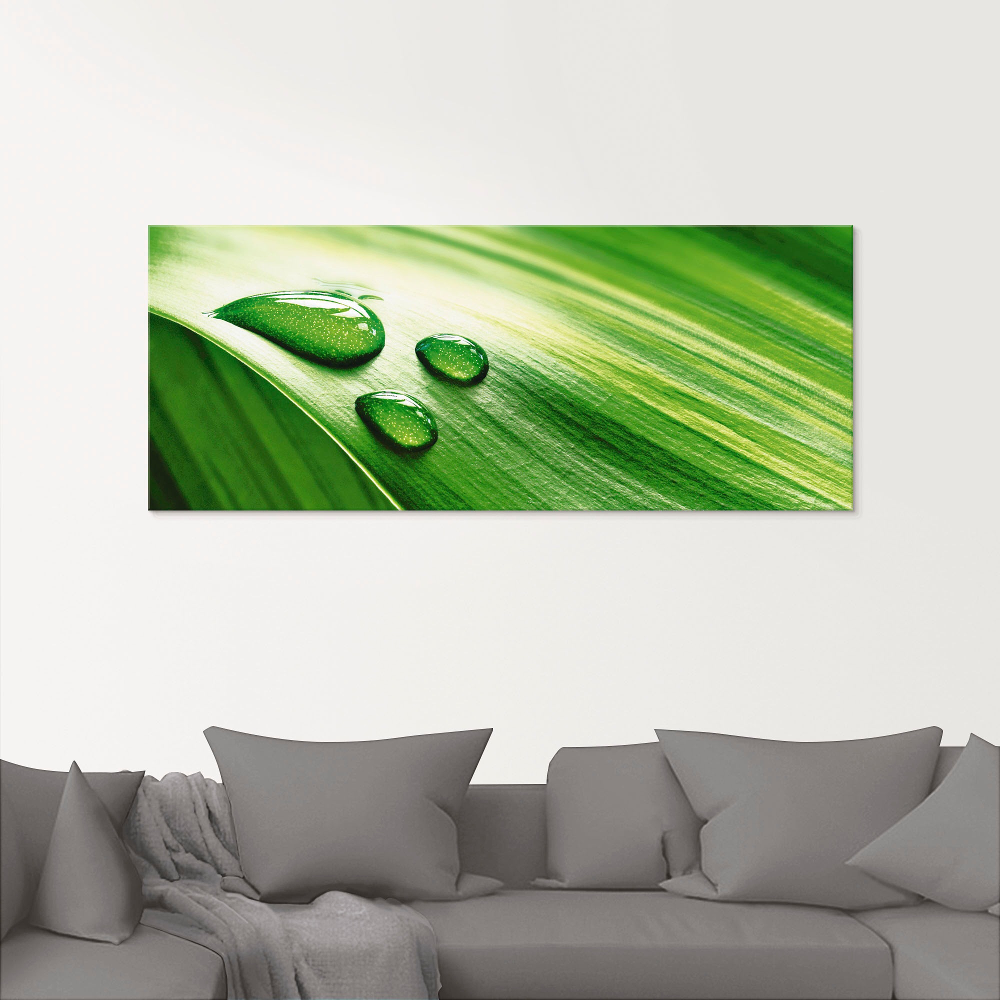 Artland Glasbild "Nahaufnahme eines grünen Pflanzenblattes" Blätter 1 Stk. günstig online kaufen