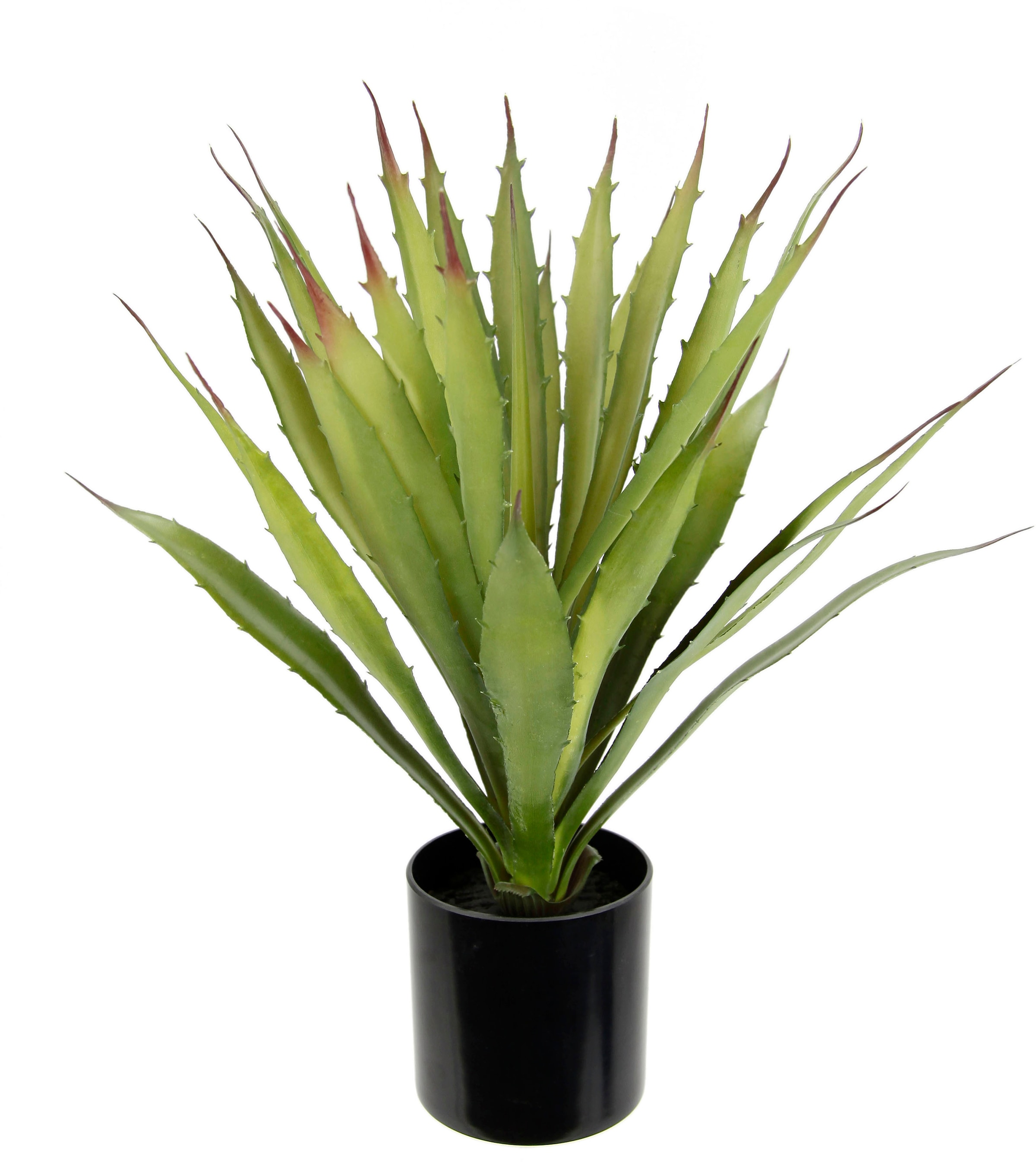 Kunstpflanze »Künstliche Agave Aloe Vera im Topf Kunstpflanze«, Kaktus Kakteen