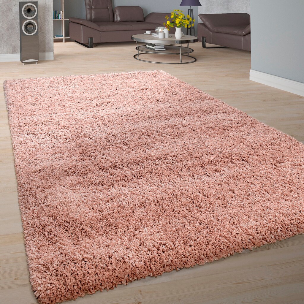 Paco Home Hochflor-Teppich »Next 570«, rechteckig