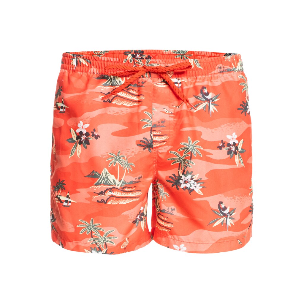 Quiksilver Boardshorts »Everyday Scenic 15"«