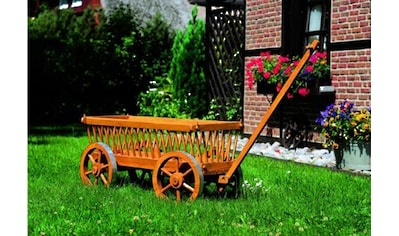 promadino Pflanzenroller »Blumenwagen«, BxTxH: 49x114 cm kaufen