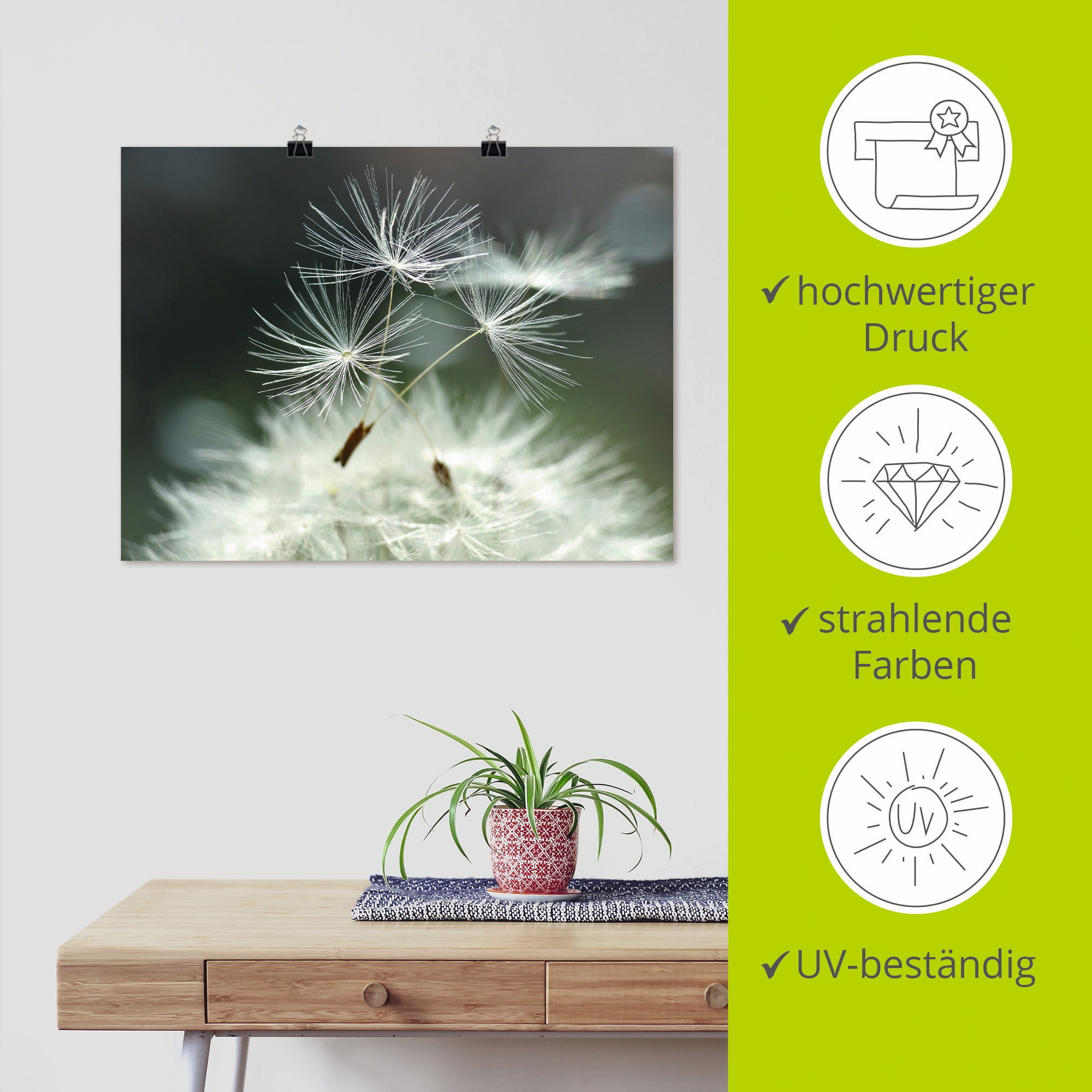 Artland Wandbild »Pusteblume Facility«, Blumen, (1 St.), als Alubild, Outdoorbild, Leinwandbild, Poster, Wandaufkleber