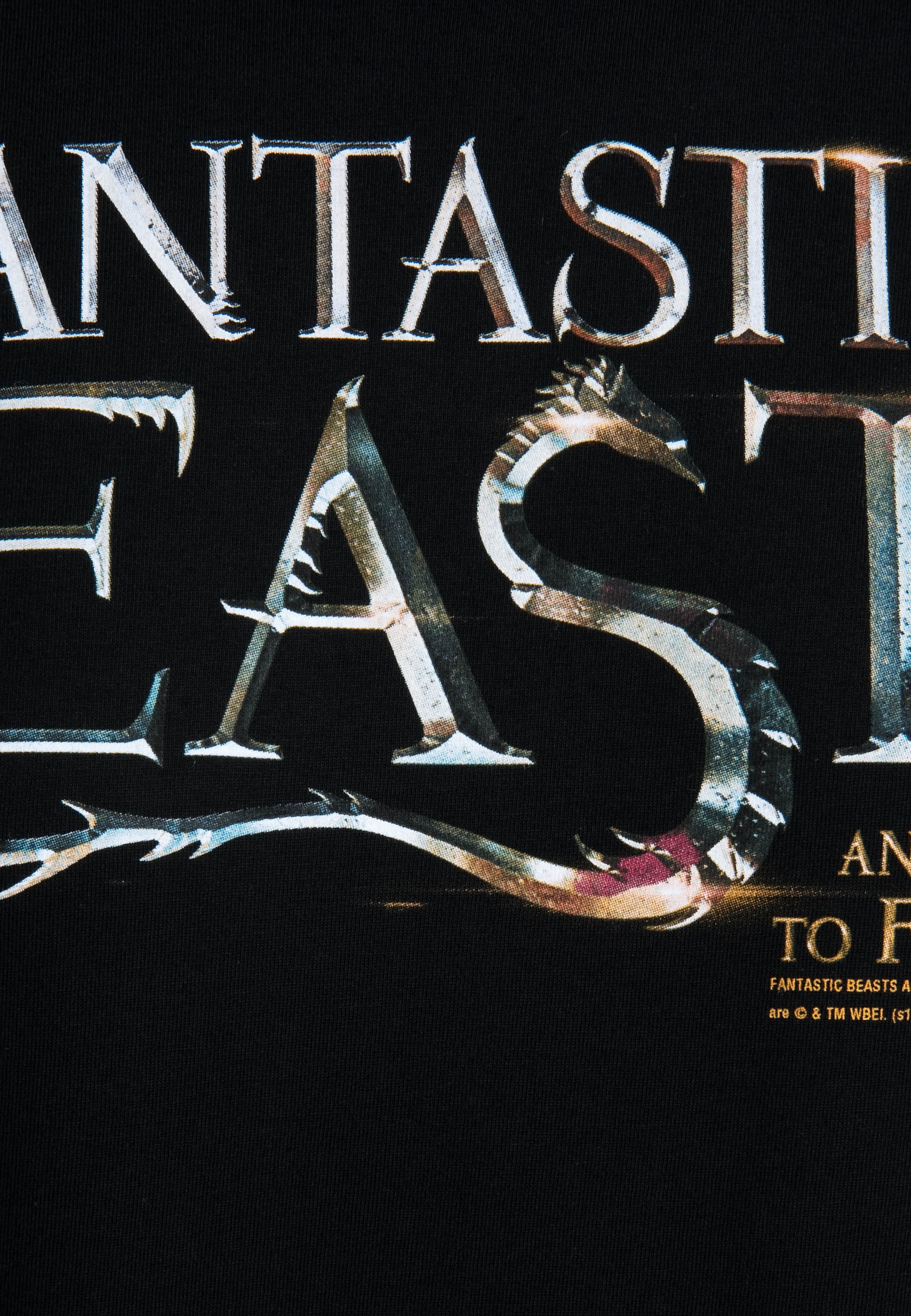 LOGOSHIRT T-Shirt »Fantastic Beasts Logo«, mit lizenziertem Originaldesign