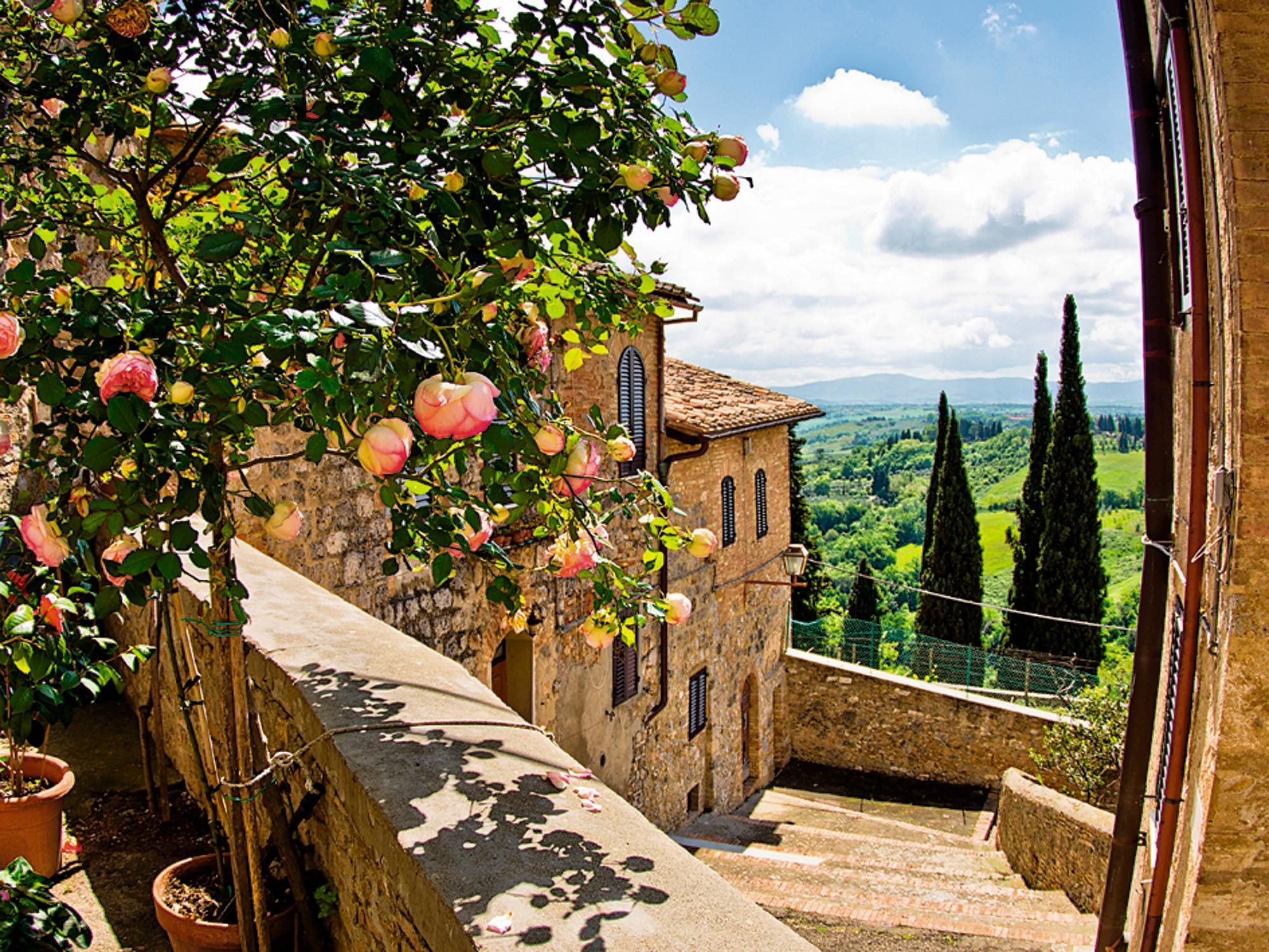 Home affaire Glasbild "banepetkovic: Rosen in San Gimignano, mit Toskanalan günstig online kaufen