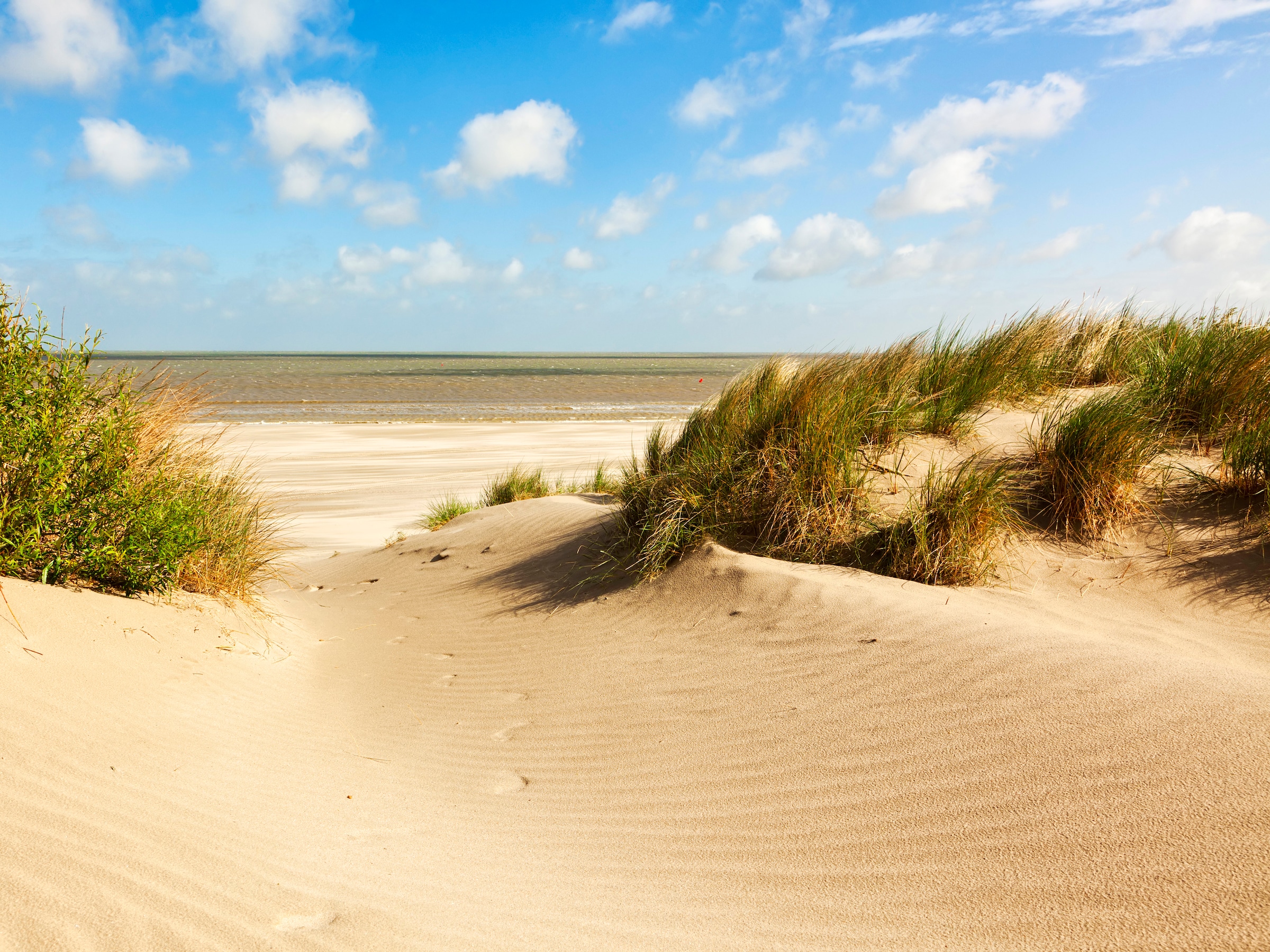 Papermoon Fototapete "Dunes Knokke-Heist" glatt günstig online kaufen