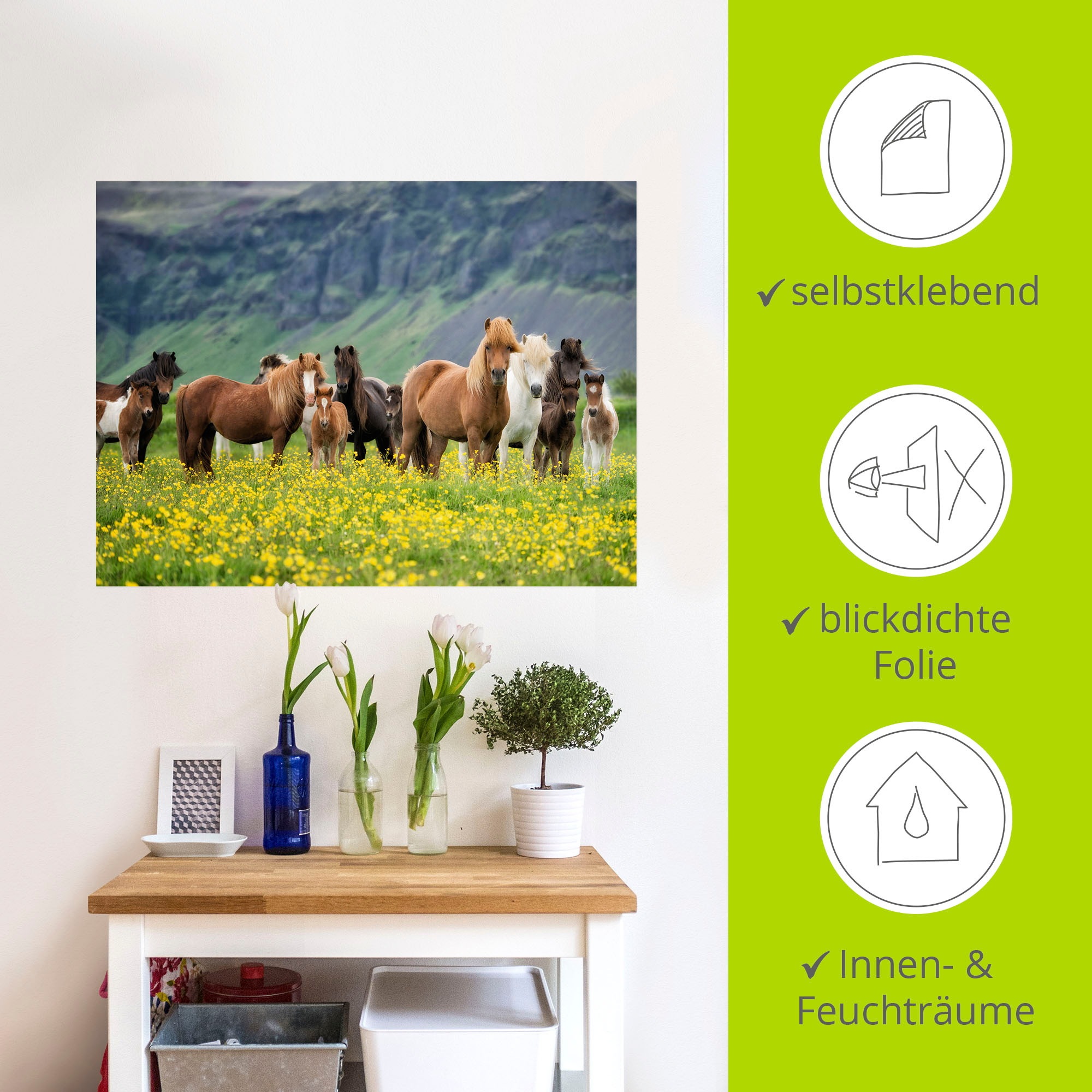 Artland Wandbild »Isländische Pferde VII«, Haustiere, (1 St.), als Leinwandbild, Poster, Wandaufkleber in verschied. Größen