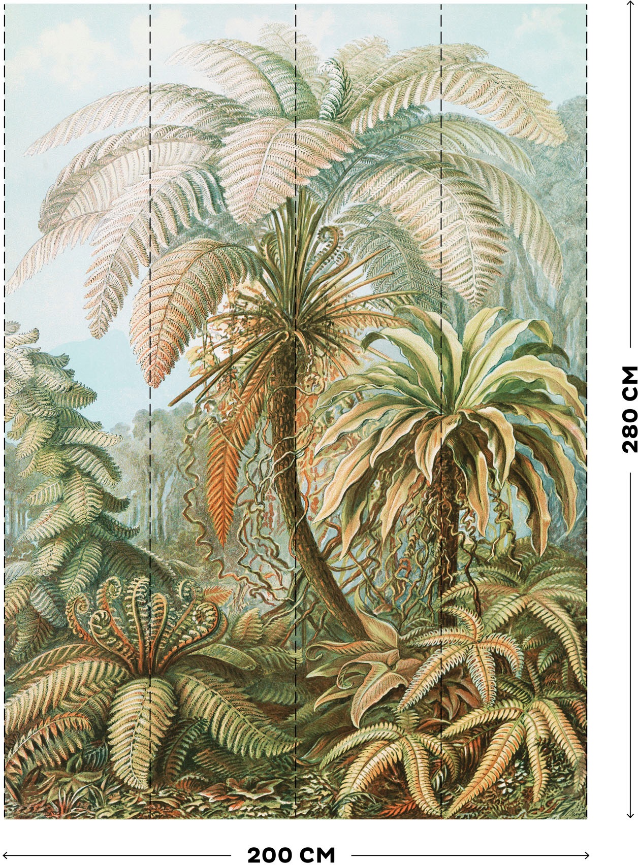 Art for the home Vliestapete »Fototapete Jungle« glatt