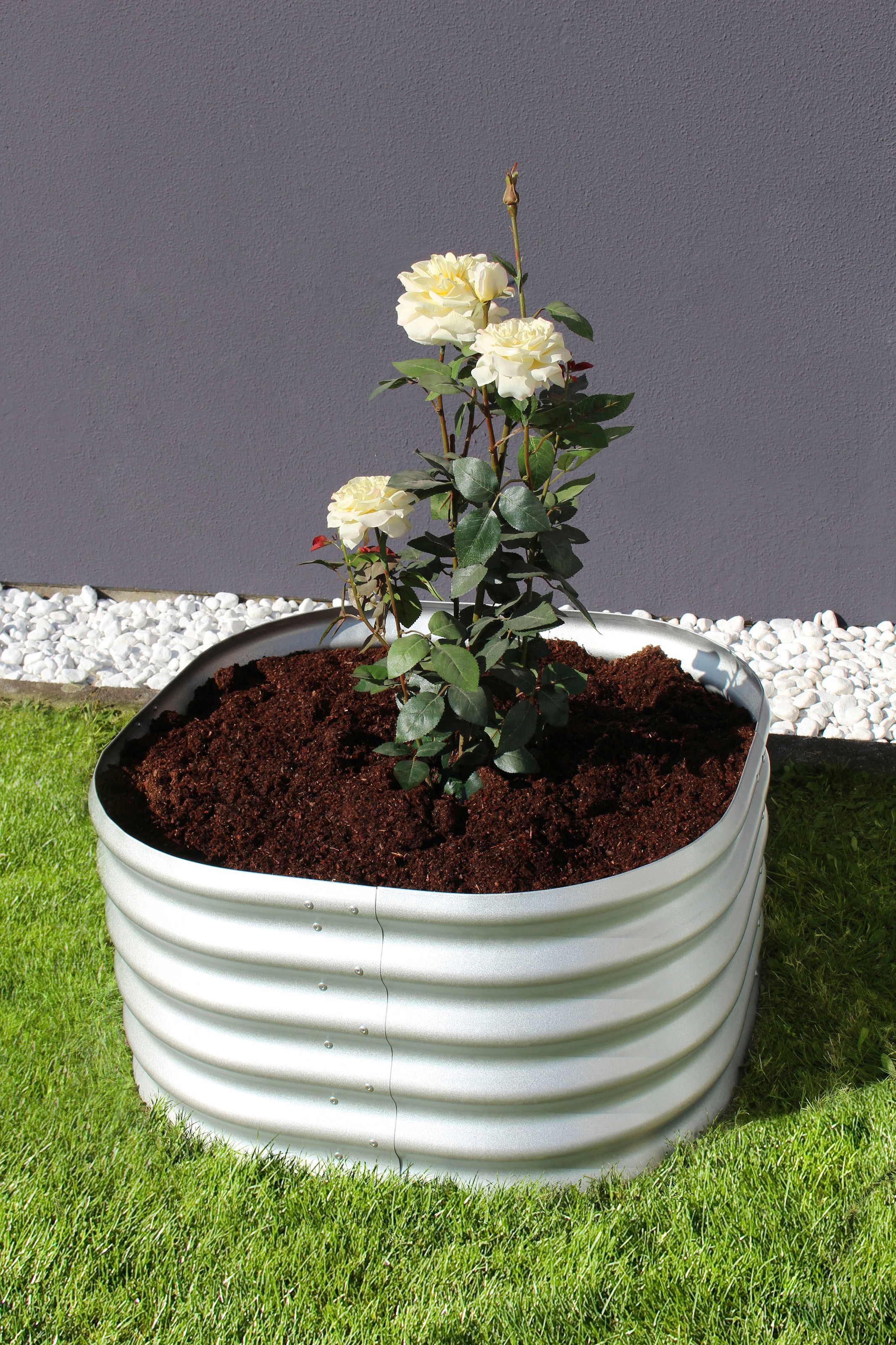 Vitavia Hochbeet »Terra Rund 401«, BxTxH: 82x82x40 cm