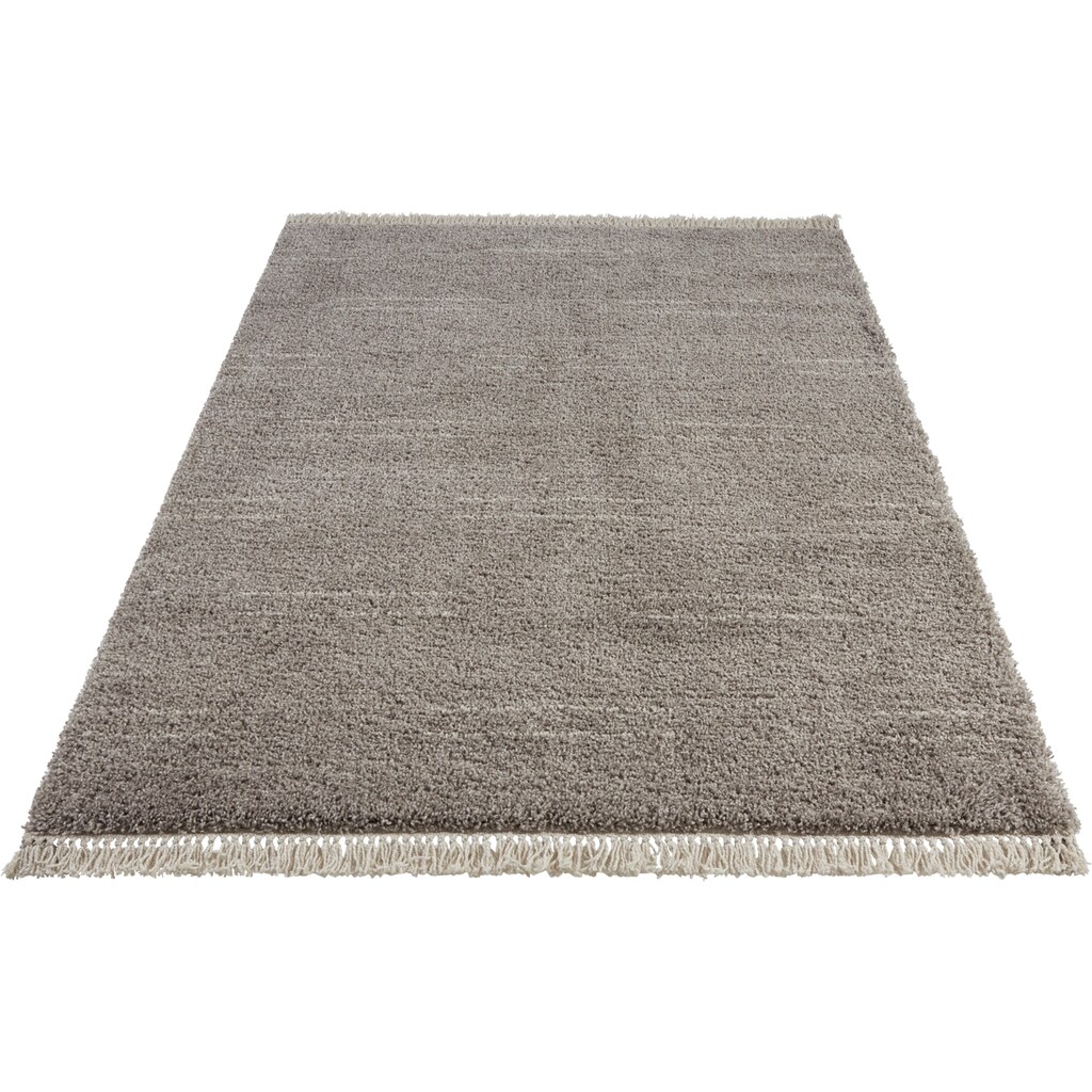 freundin Home Collection Hochflor-Teppich »Kamahe«, rechteckig