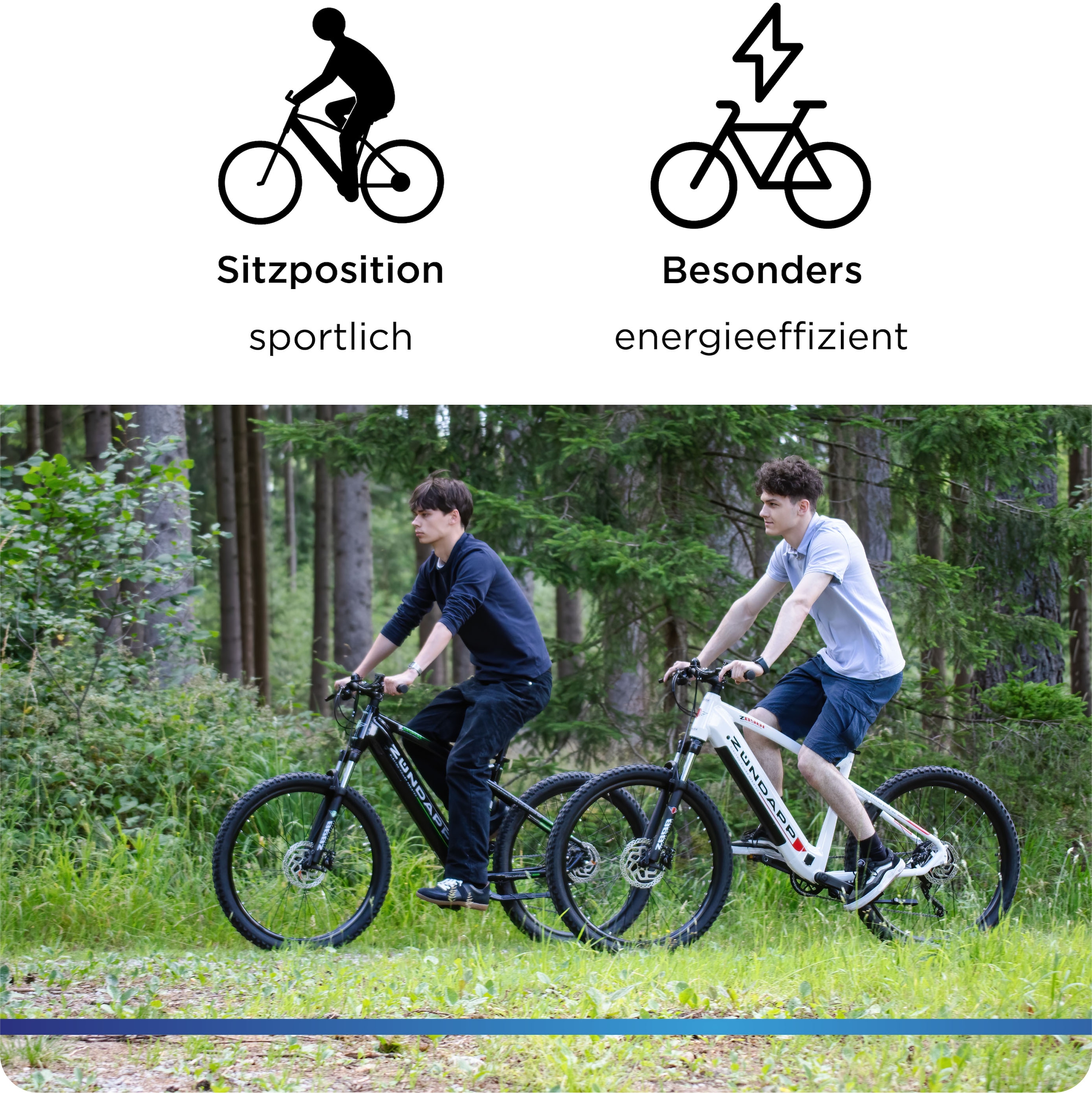 Zündapp »Z898« 10 Gang Kettenschaltung Heckmotor 250 W Pedelec, Elektrofahrrad für Damen u. Herren, MTB