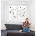 Komar Fensterbild »Vögel«, 31x31 cm, selbsthaftend