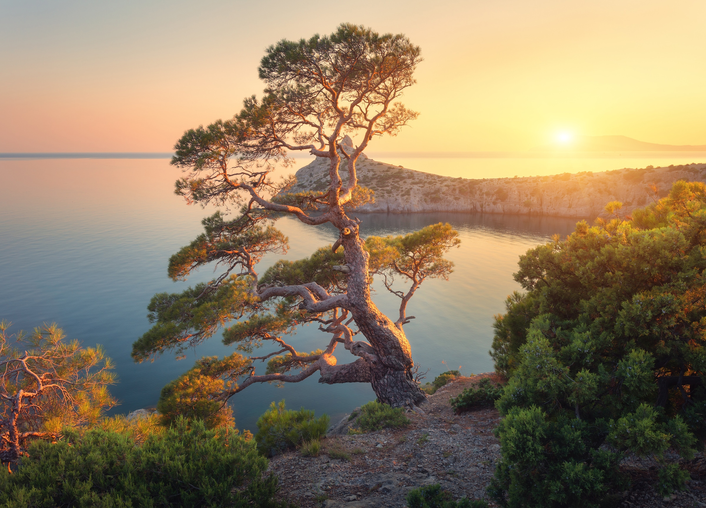 Papermoon Fototapete "Tree Mountain Sunset" glatt