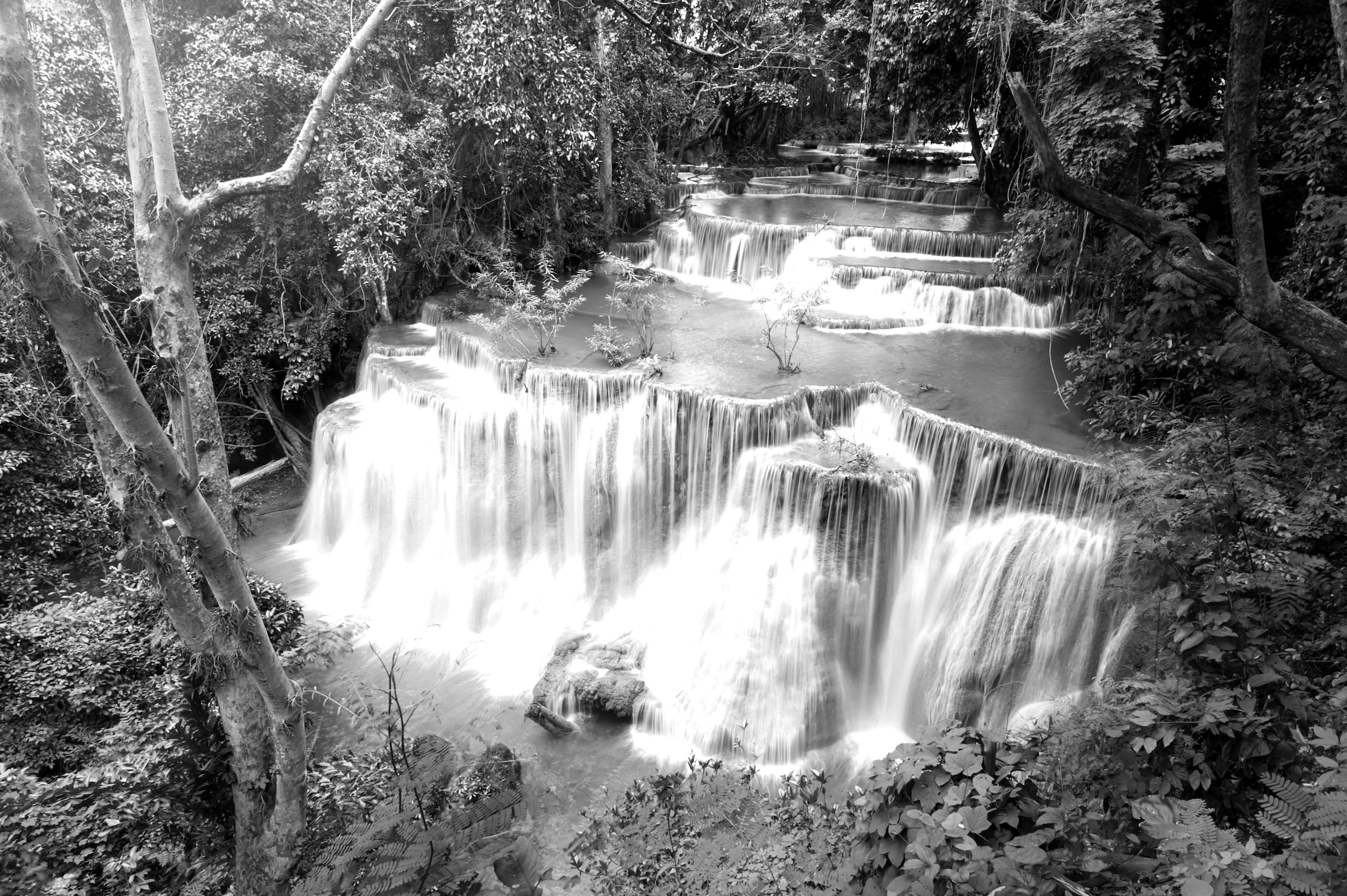 Papermoon Fototapete "Wasserfall im Wald Schwarz & Weiß" günstig online kaufen