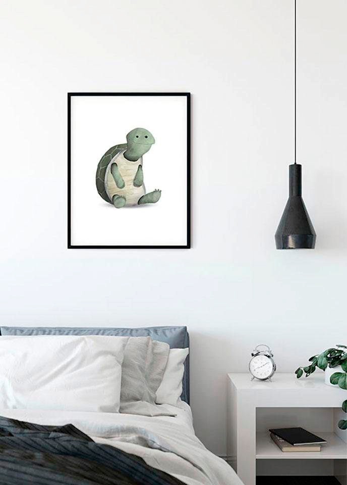 Komar Bild »Cute Animal Turtle«, Schildkröten, (1 St.), Wandbild zur Dekoration - ohne Rahmen