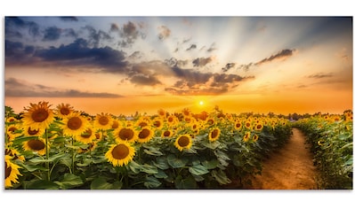 Wall-Art Poster »Märchen Wandbilder Sommerwiese«, Landschaft, (1 St.),  Poster, Wandbild, Bild, Wandposter kaufen | BAUR